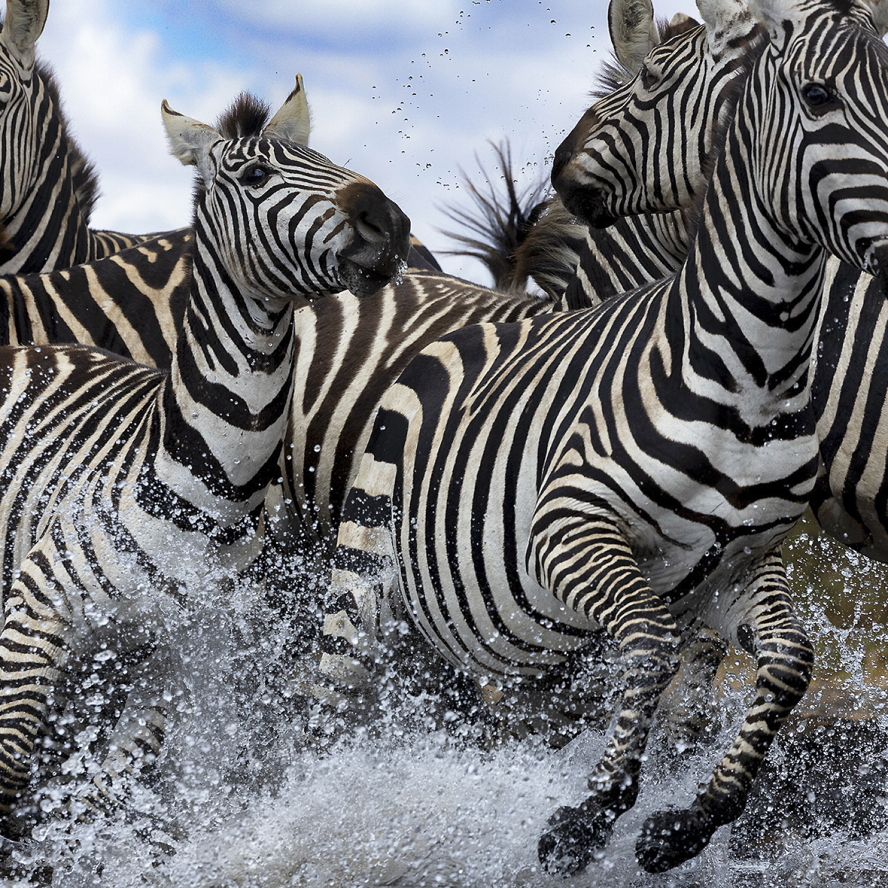GALLERY Great Plains Conservation ol Donyo Lodge Marius Coetzee 20