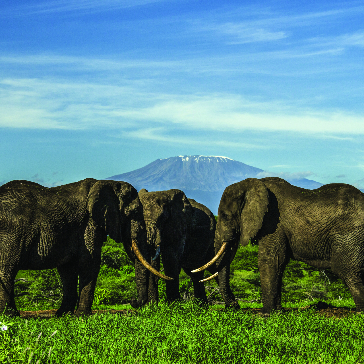 GALLERY Great Plains Kenya Chyulu Hills 24