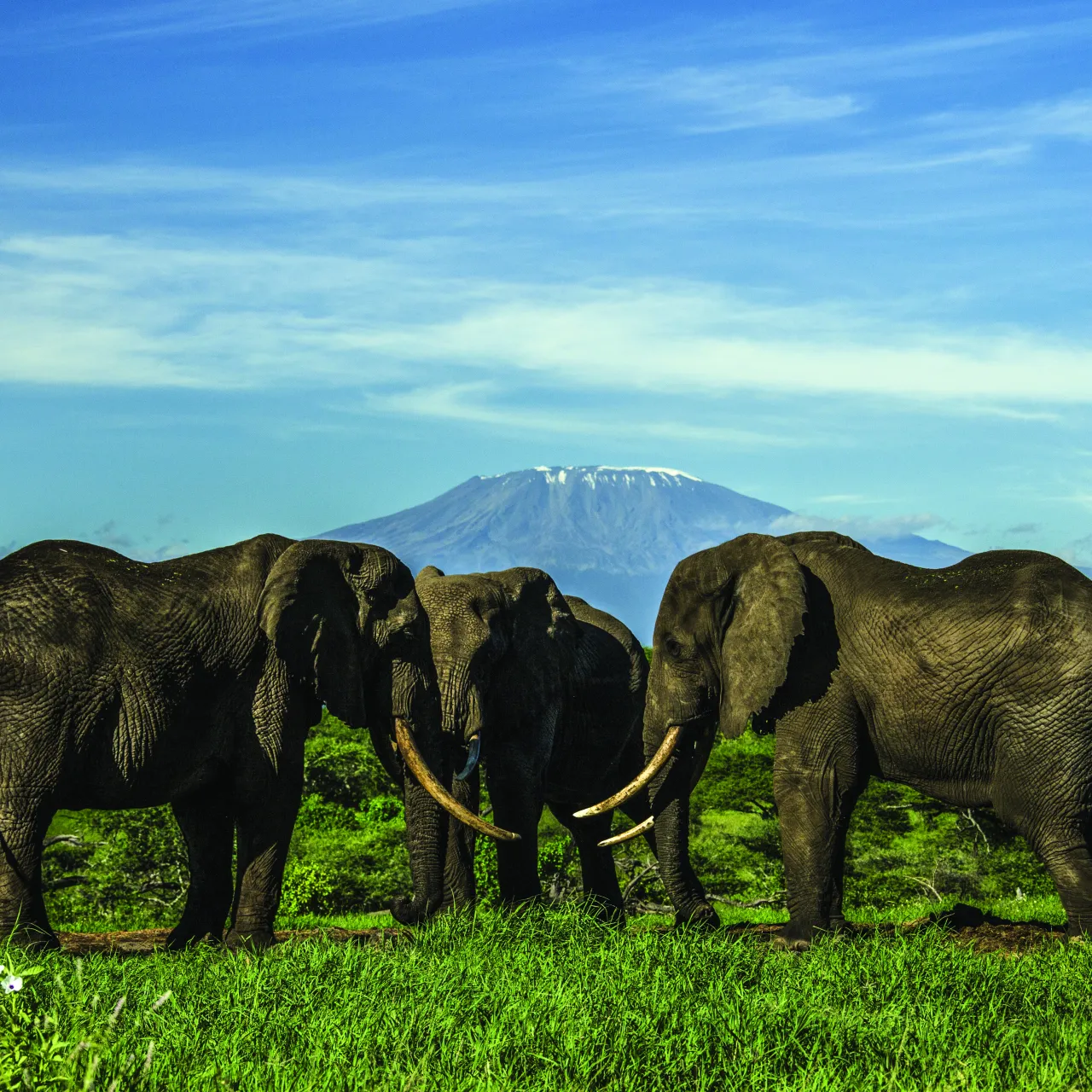 GALLERY Great Plains Kenya Chyulu Hills 24