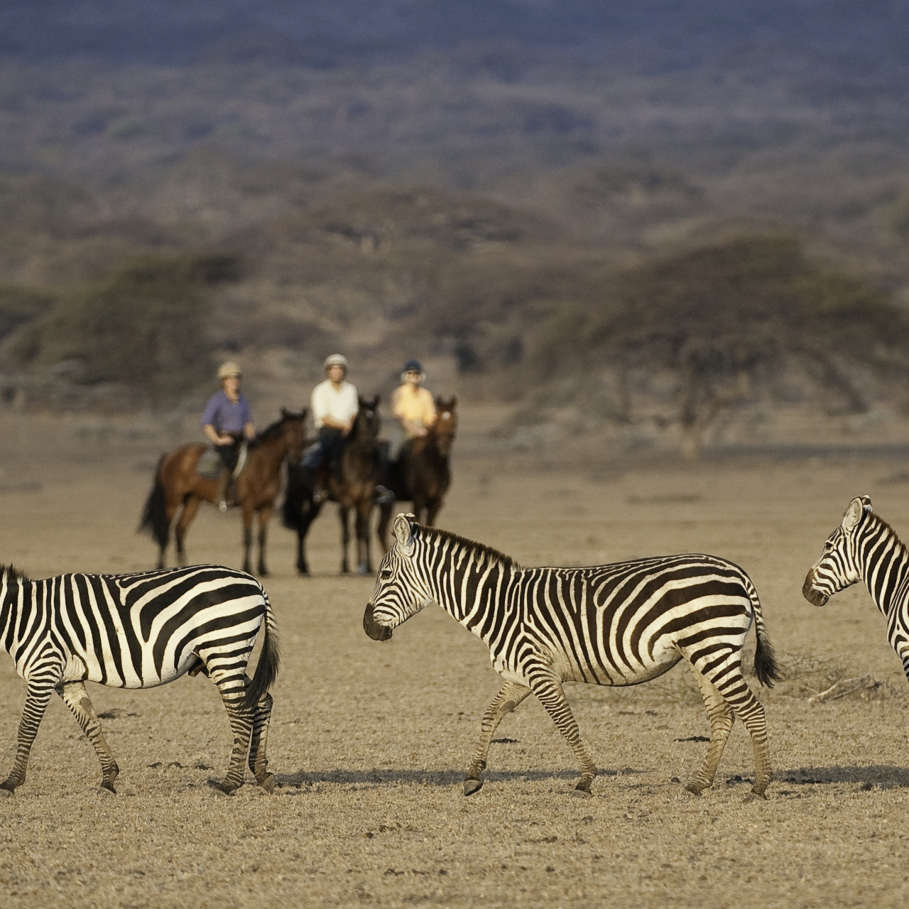 GALLERY Great Plains Kenya Chyulu Hills 53
