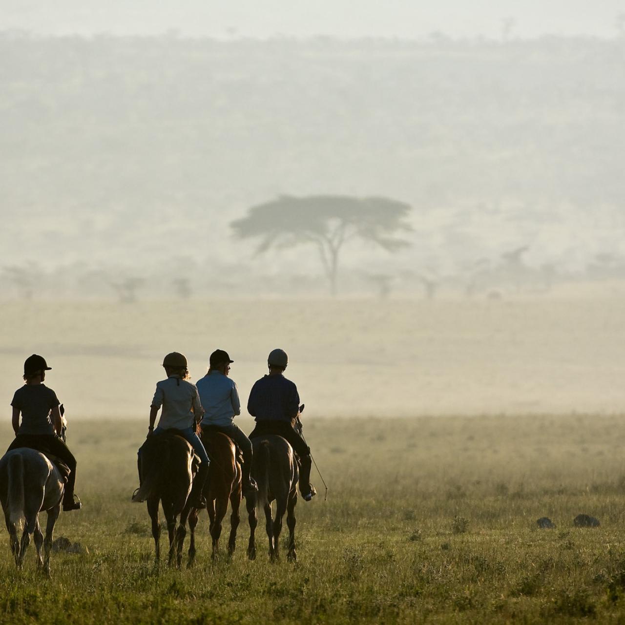 GALLERY Great Plains Kenya Chyulu Hills 55