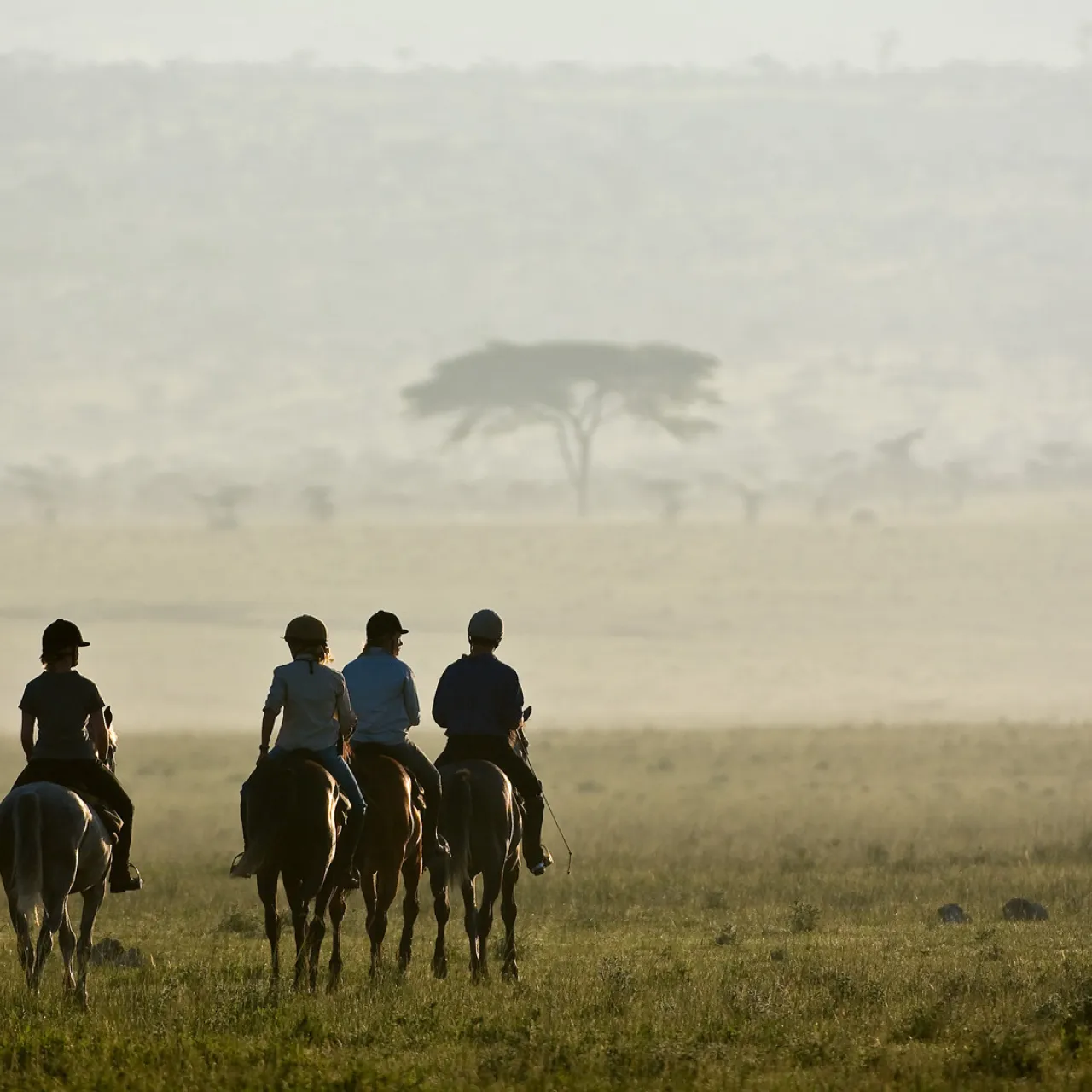 GALLERY Great Plains Kenya Chyulu Hills 55
