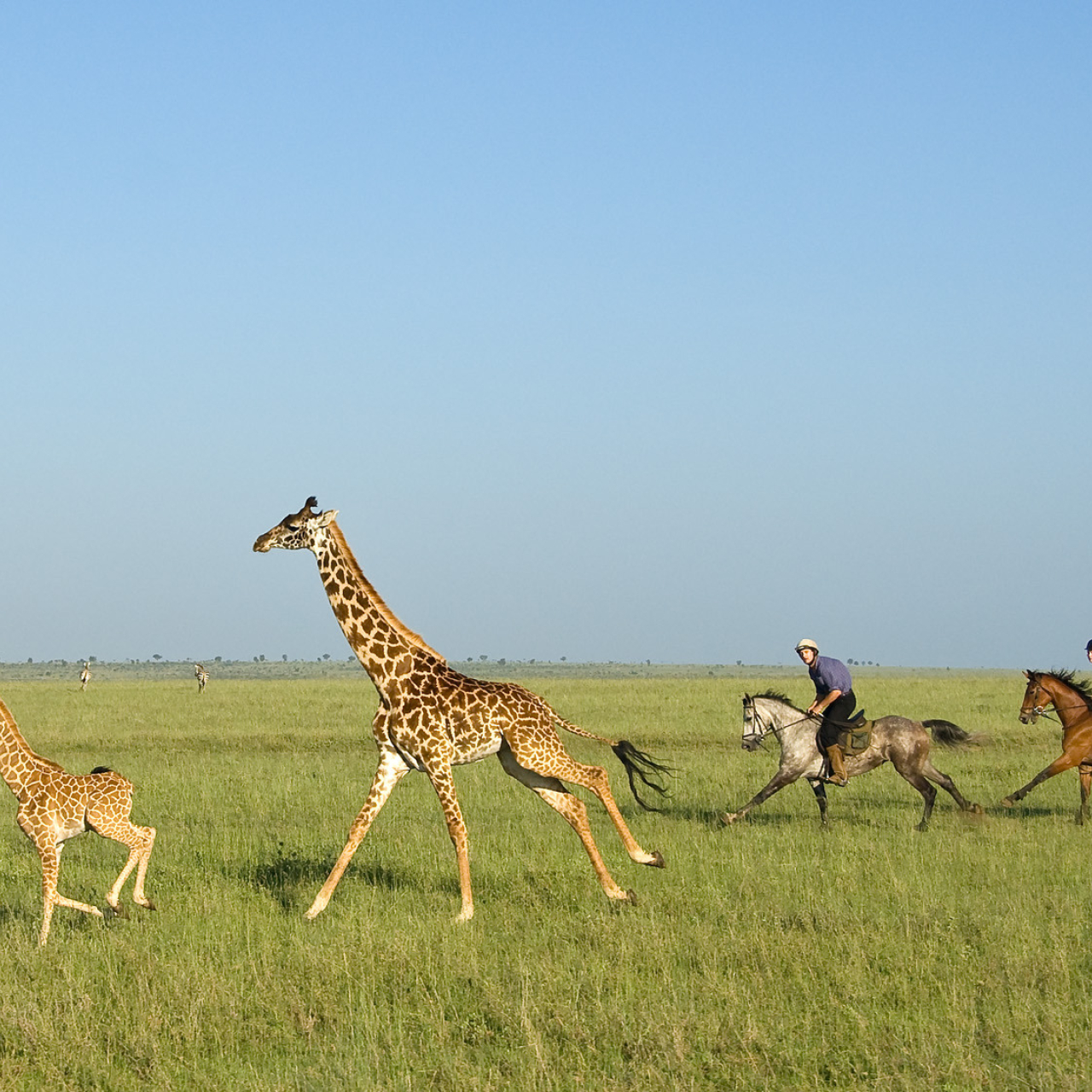 GALLERY Great Plains Kenya Chyulu Hills 57