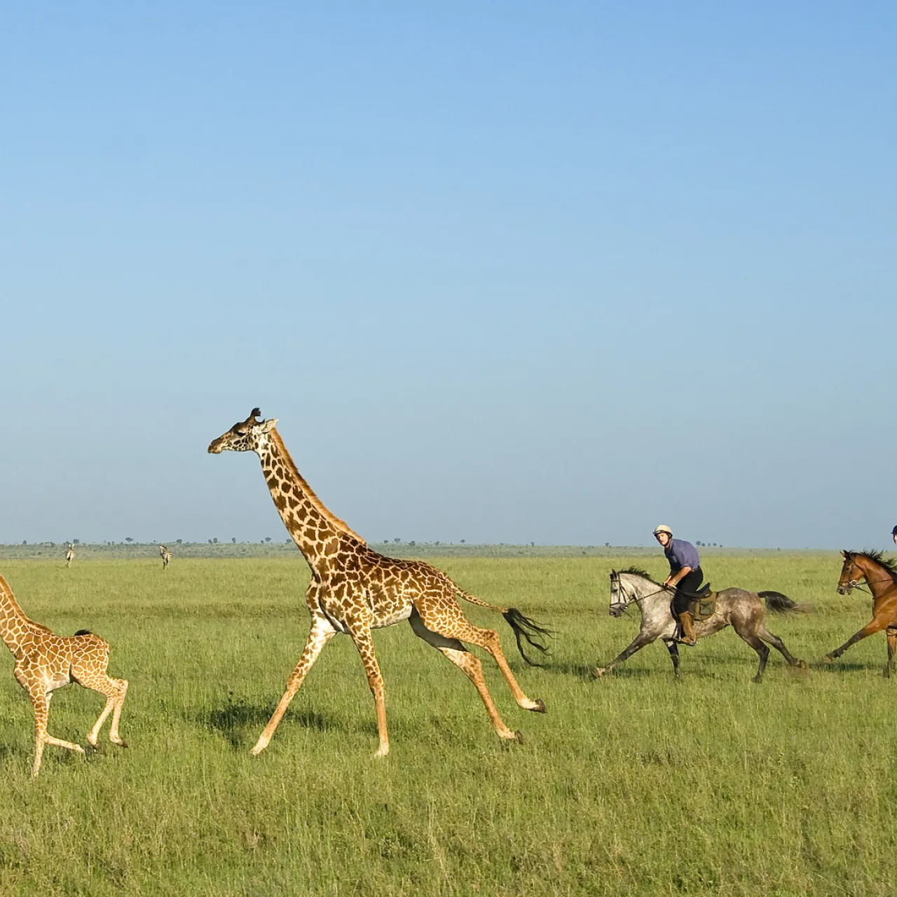 GALLERY Great Plains Kenya Chyulu Hills 57