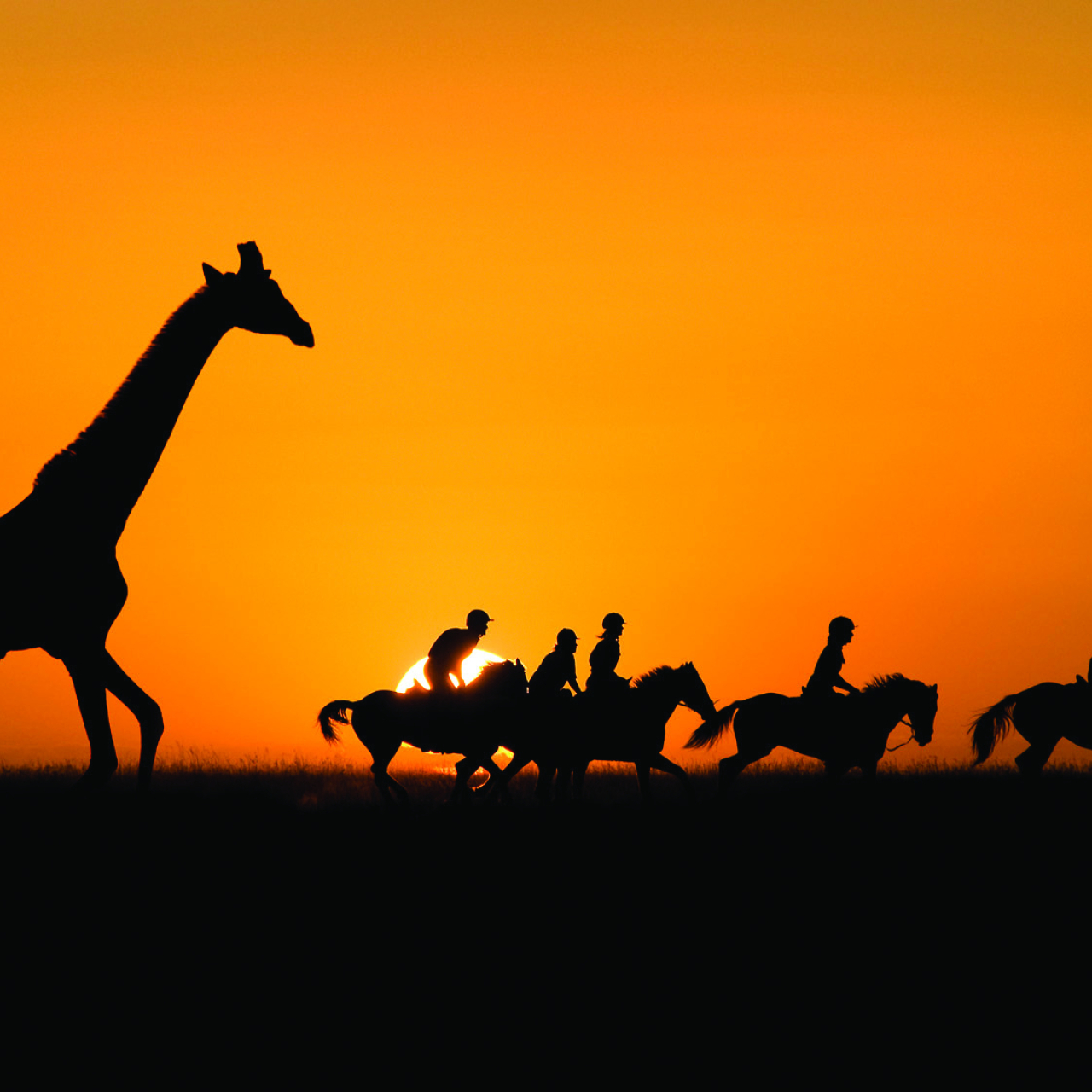 GALLERY Great Plains Kenya Chyulu Hills 59