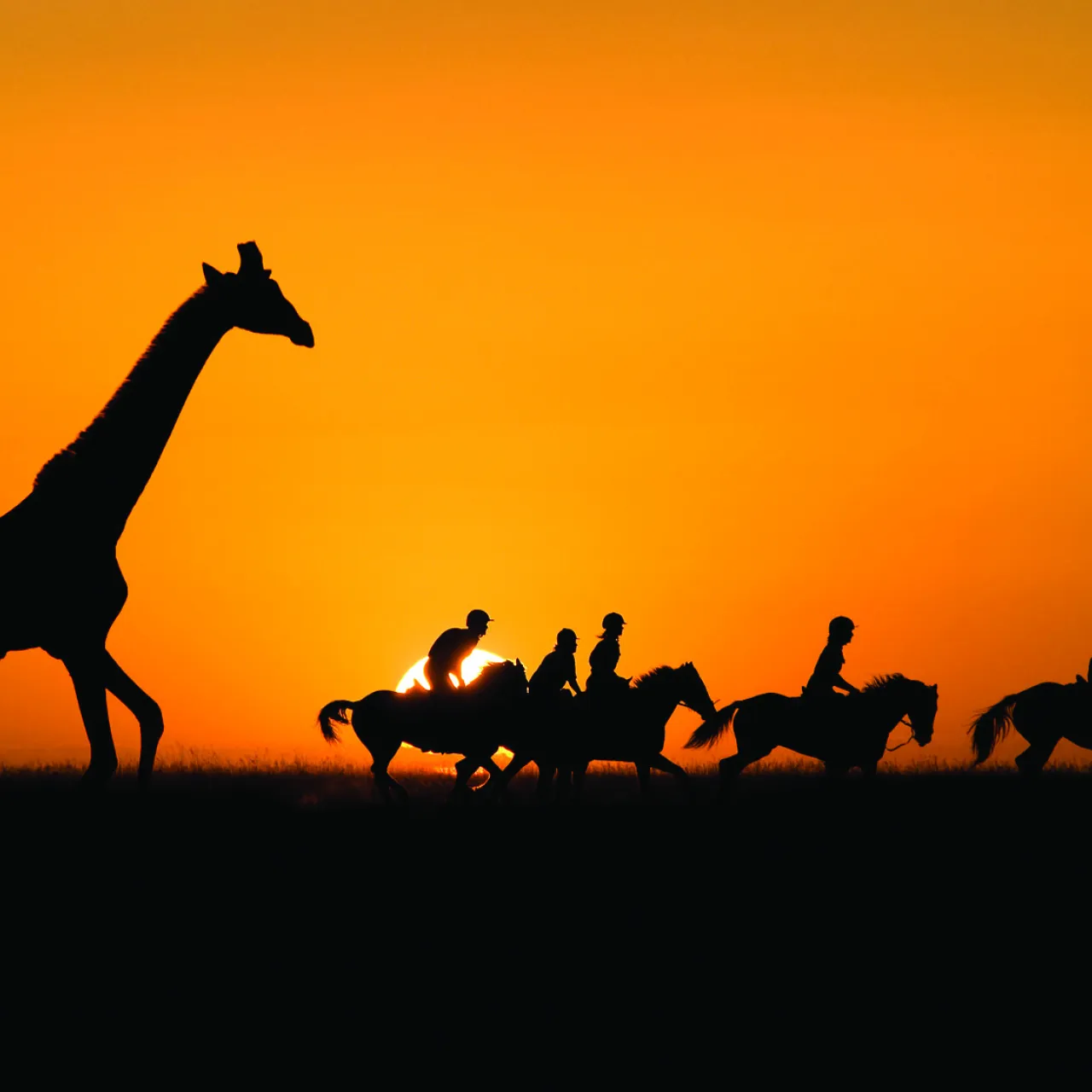 GALLERY Great Plains Kenya Chyulu Hills 59