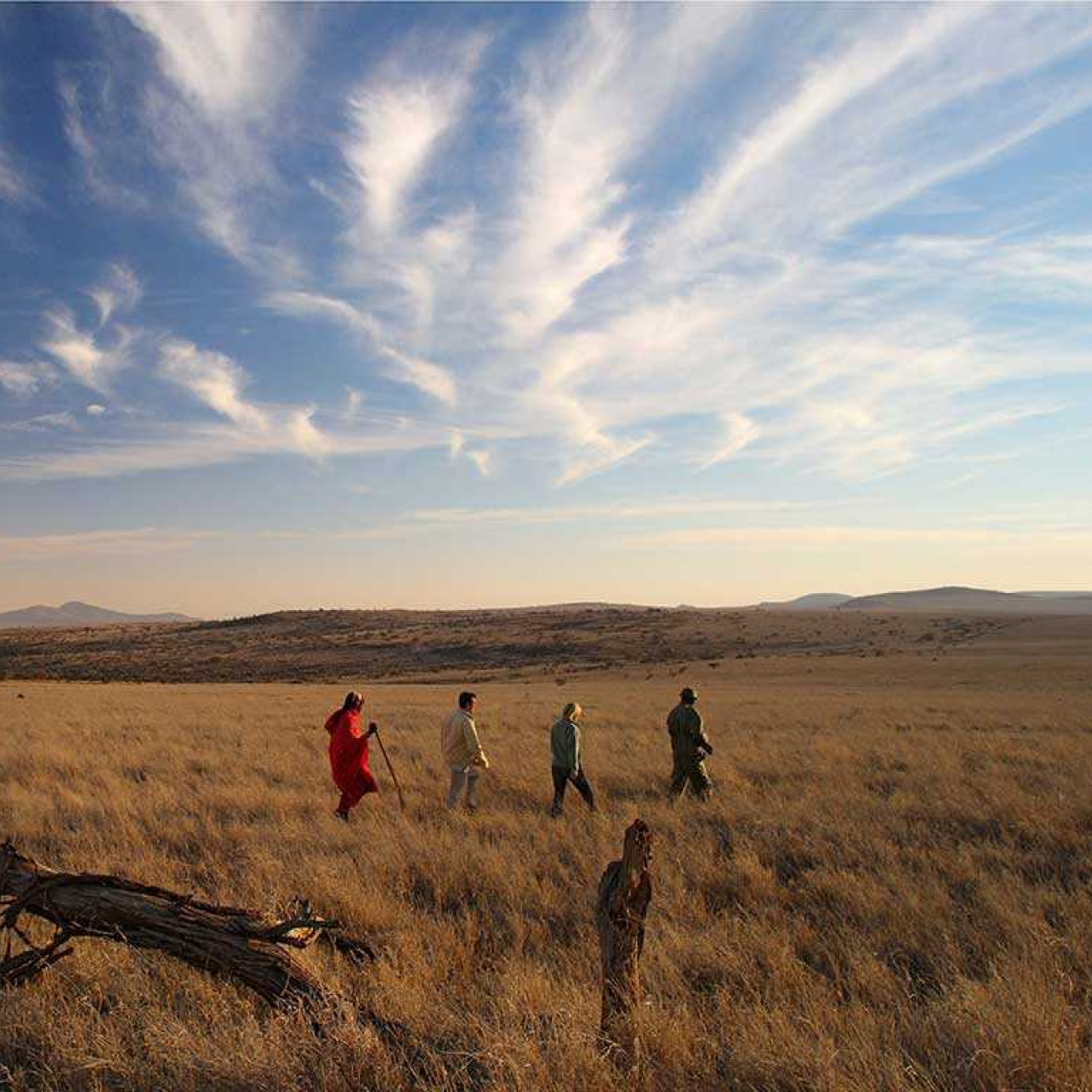 GALLERY Elewana Lewa Safari Camp Bush Walk