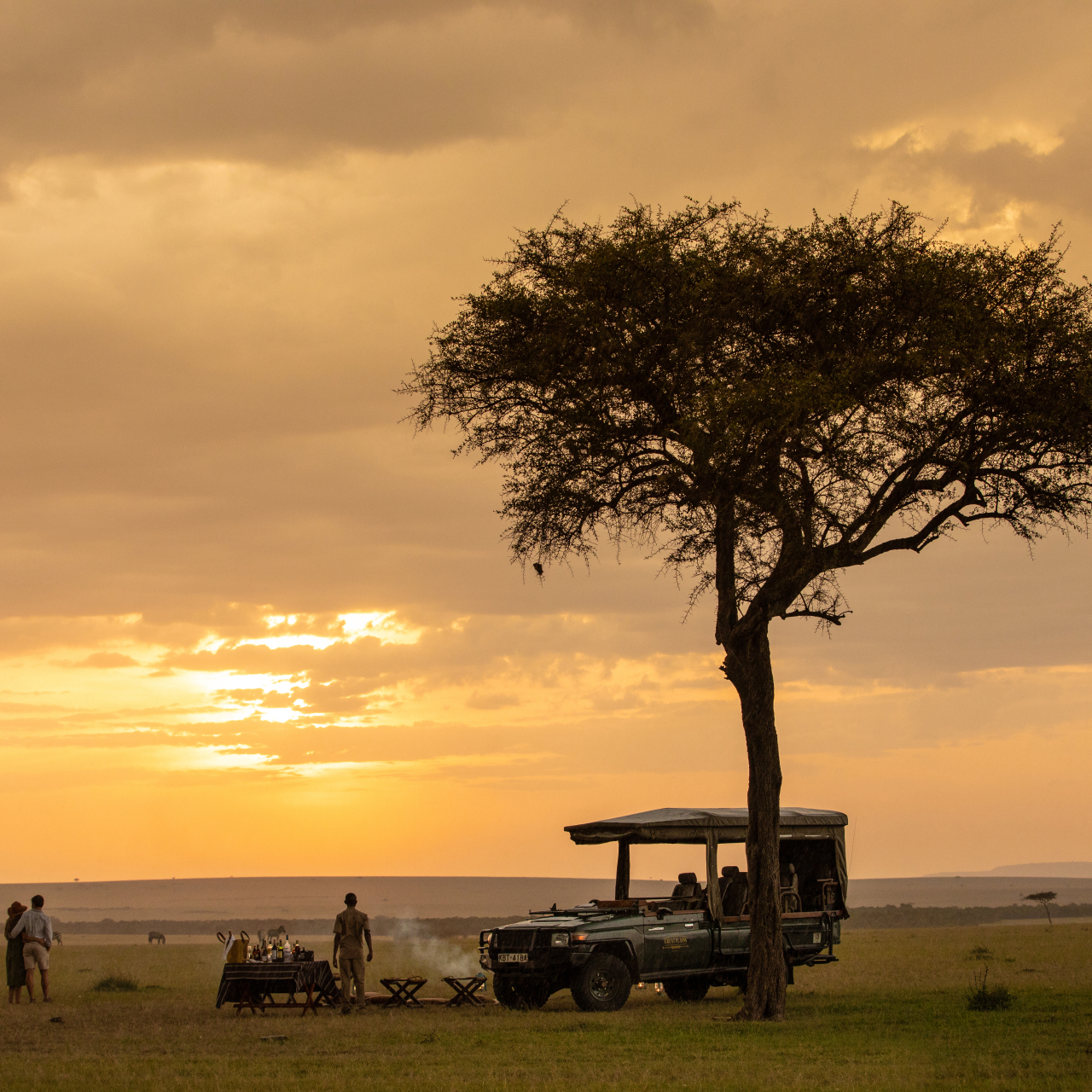 GALLERY Great Plains Kenya Mara Plains Camp 31