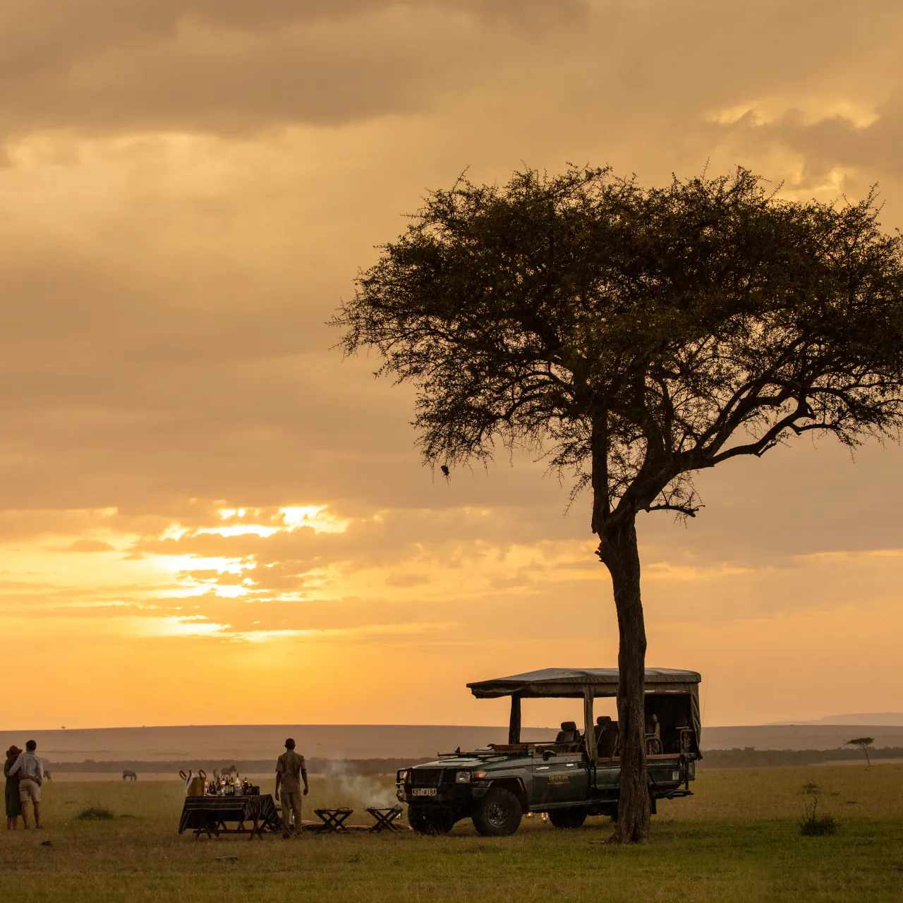 GALLERY Great Plains Kenya Mara Plains Camp 31