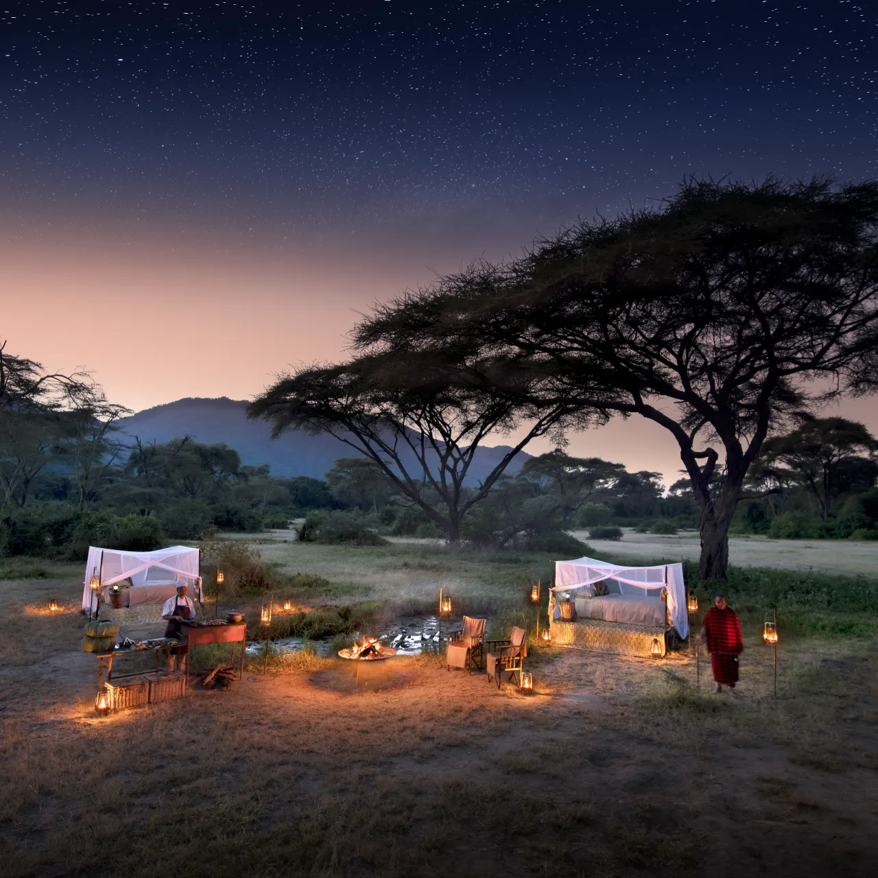 GALLERY Tanzania Lake Manyara Tree Lodge Experience a sleepout under the stars 7