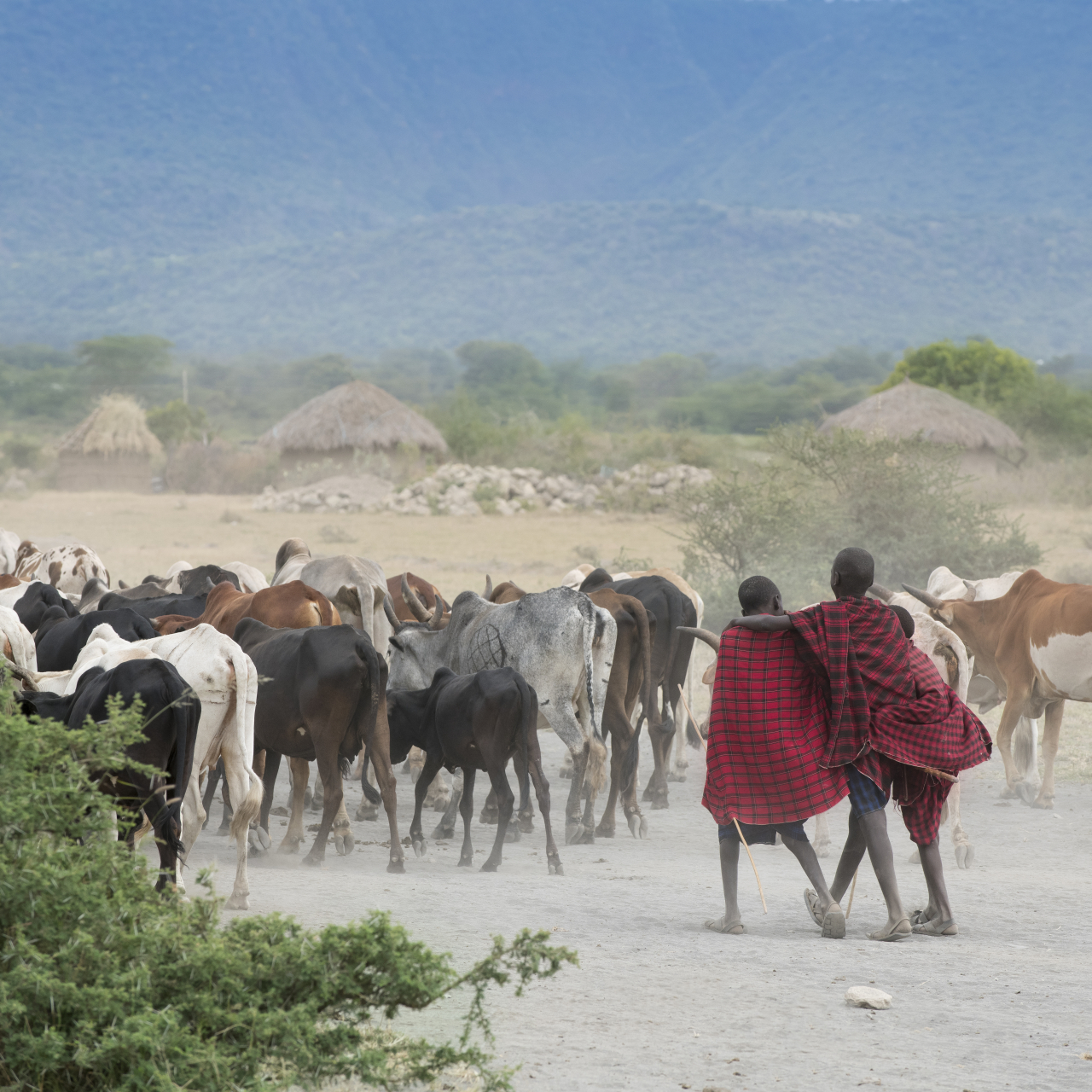 GALLERY Tanzania Lake Manyara Tree Lodge Experience Maasai village visit 4