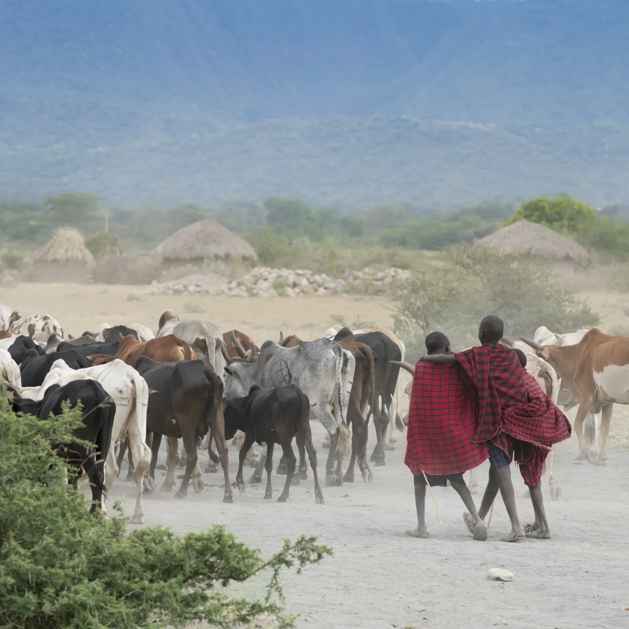GALLERY Tanzania Lake Manyara Tree Lodge Experience Maasai village visit 4