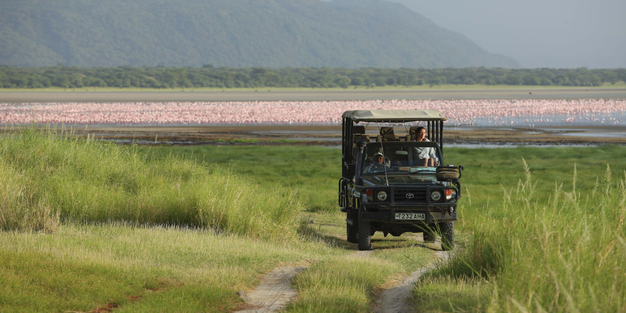GALLERY Tanzania Lake Manyara Tree Lodge Experience game drive with the lake behind the vehicle