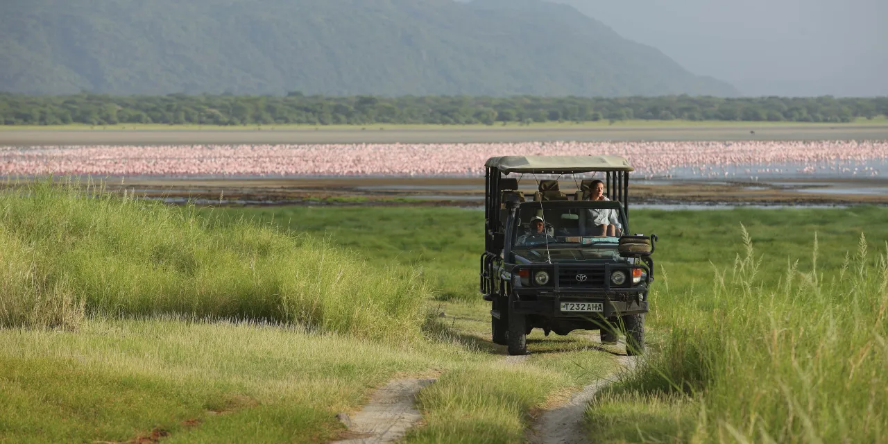 GALLERY Tanzania Lake Manyara Tree Lodge Experience game drive with the lake behind the vehicle