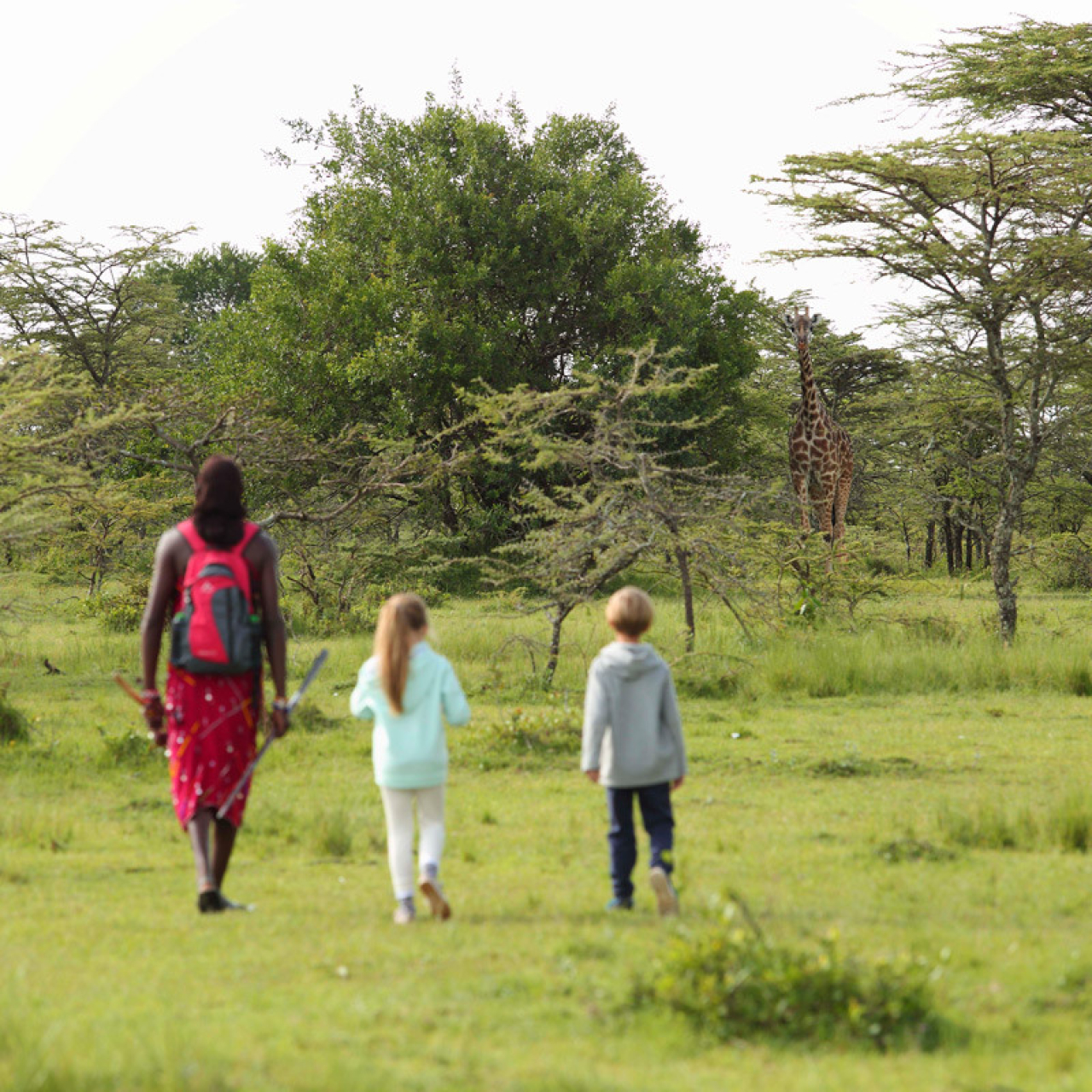 GALLERY Angama 2016 82 1 wofjfd 1