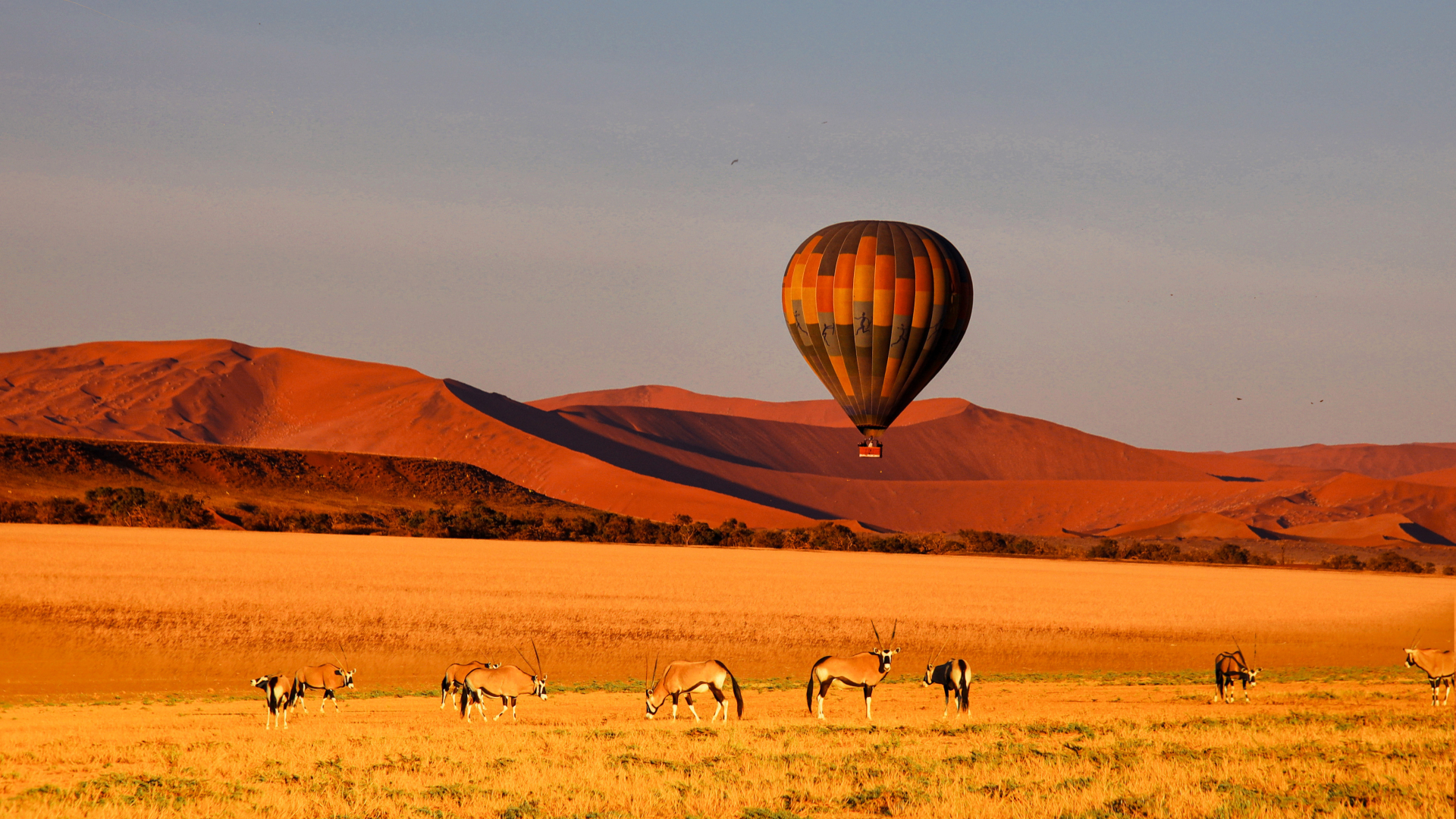 Your experiences, <br>your African journey