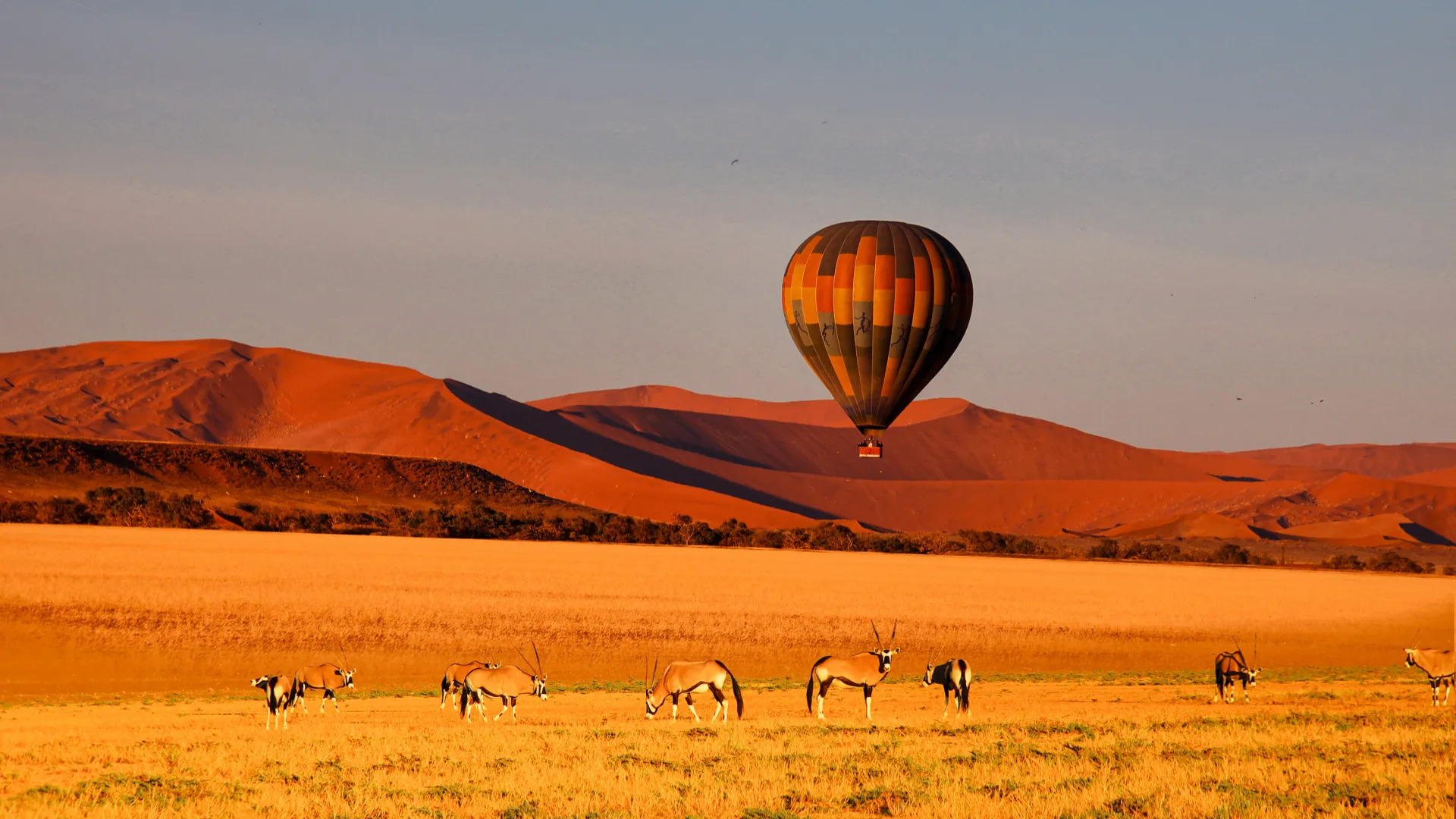 Your experiences, <br>your African journey