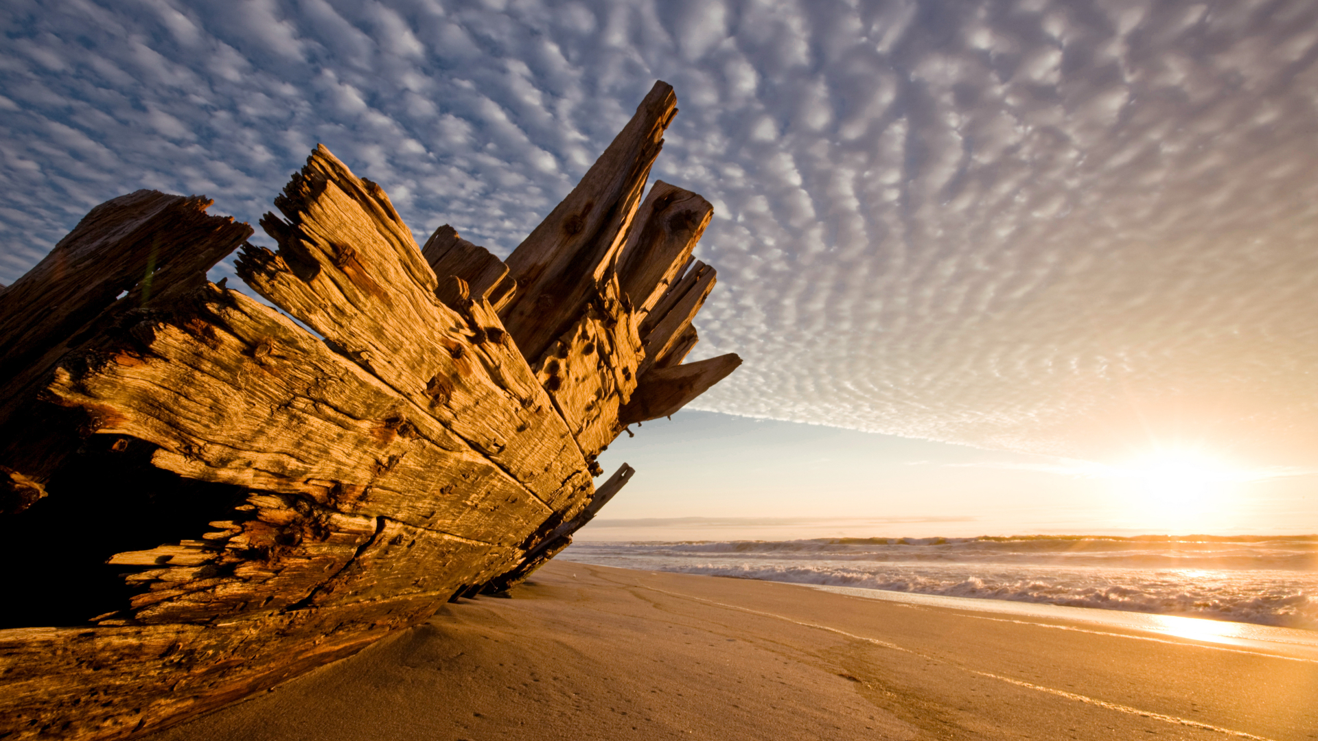 The Skeleton Coast: one of the last great wildernesses