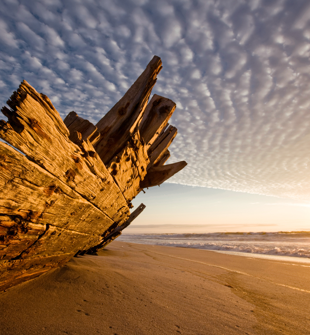 The Skeleton Coast: one of the last great wildernesses