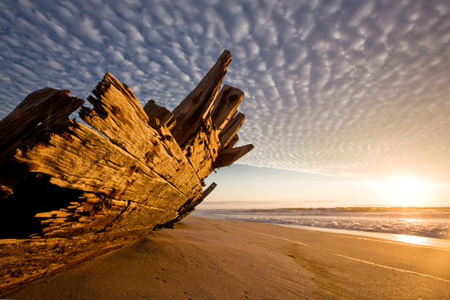 The Skeleton Coast: one of the last great wildernesses