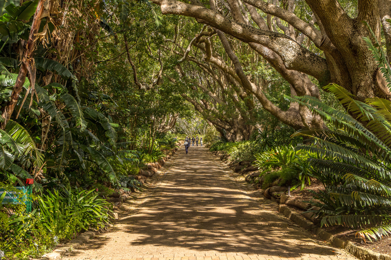 Company Gardens
