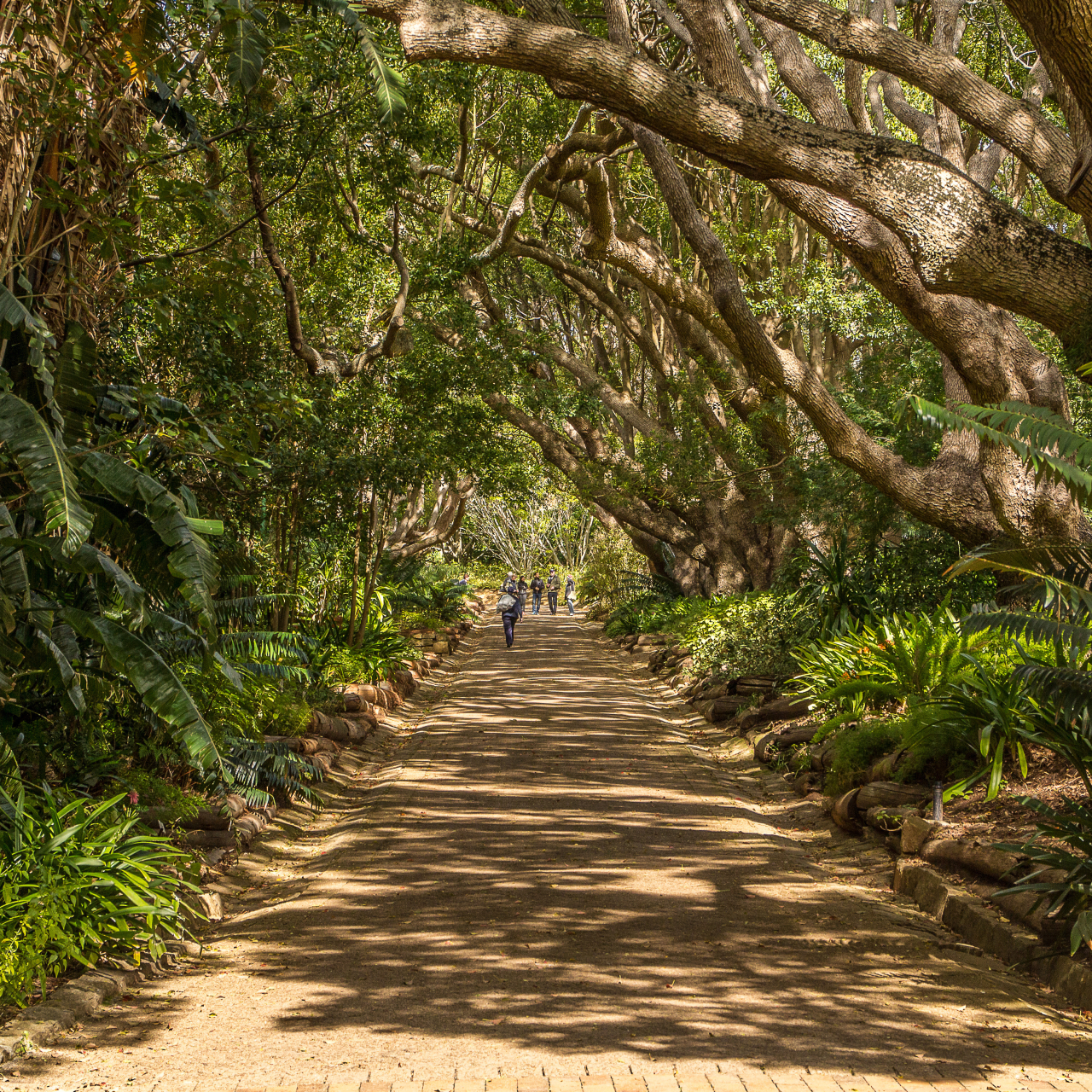 Company Gardens
