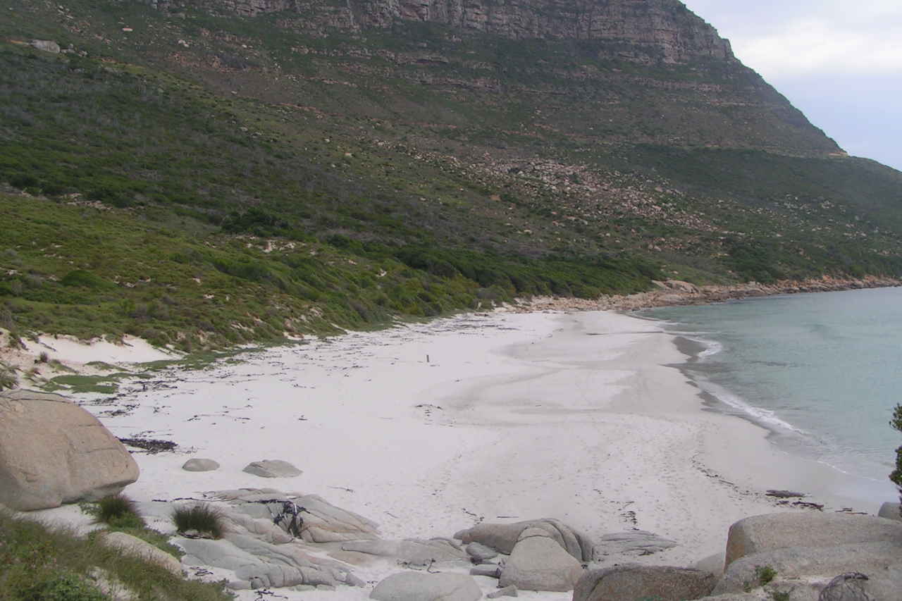 Copy of Sandy bay Piesangboer