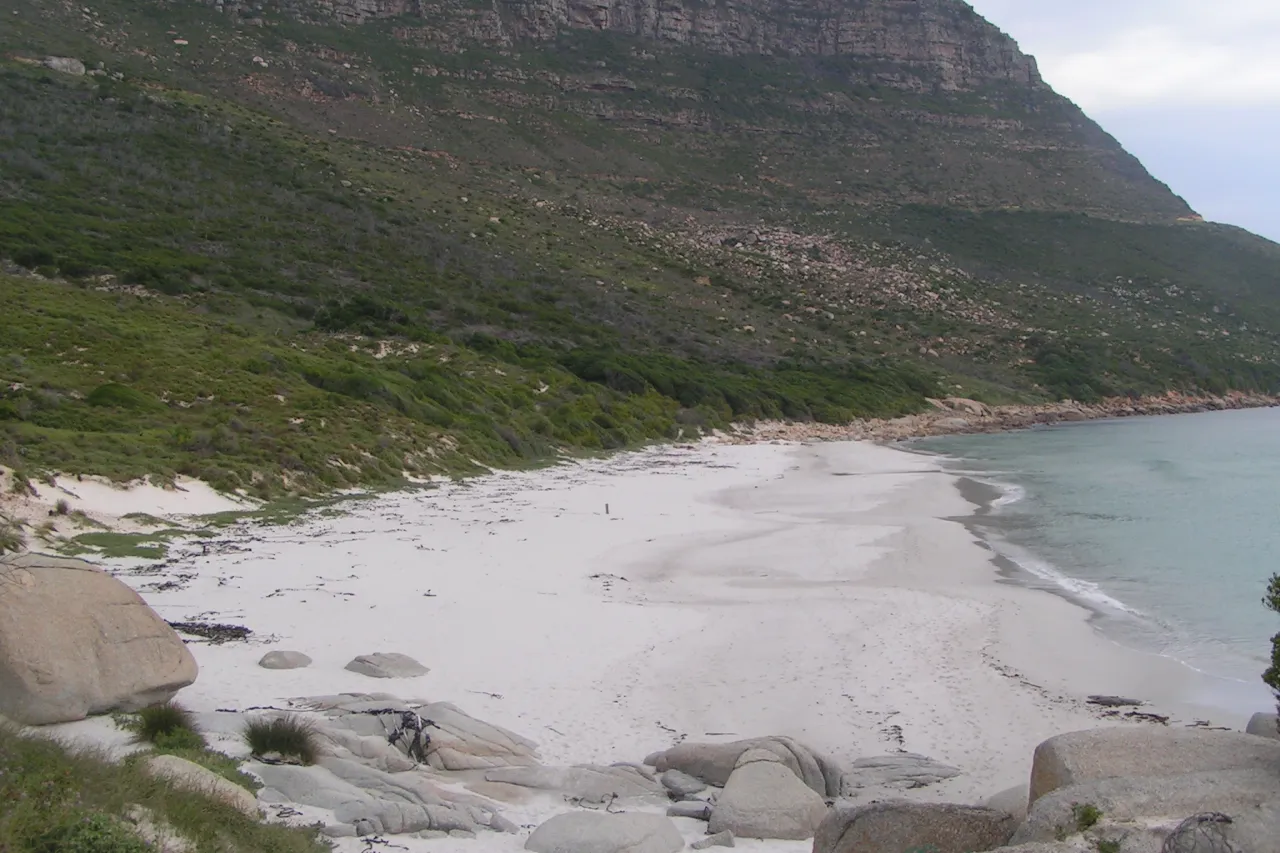 Copy of Sandy bay Piesangboer