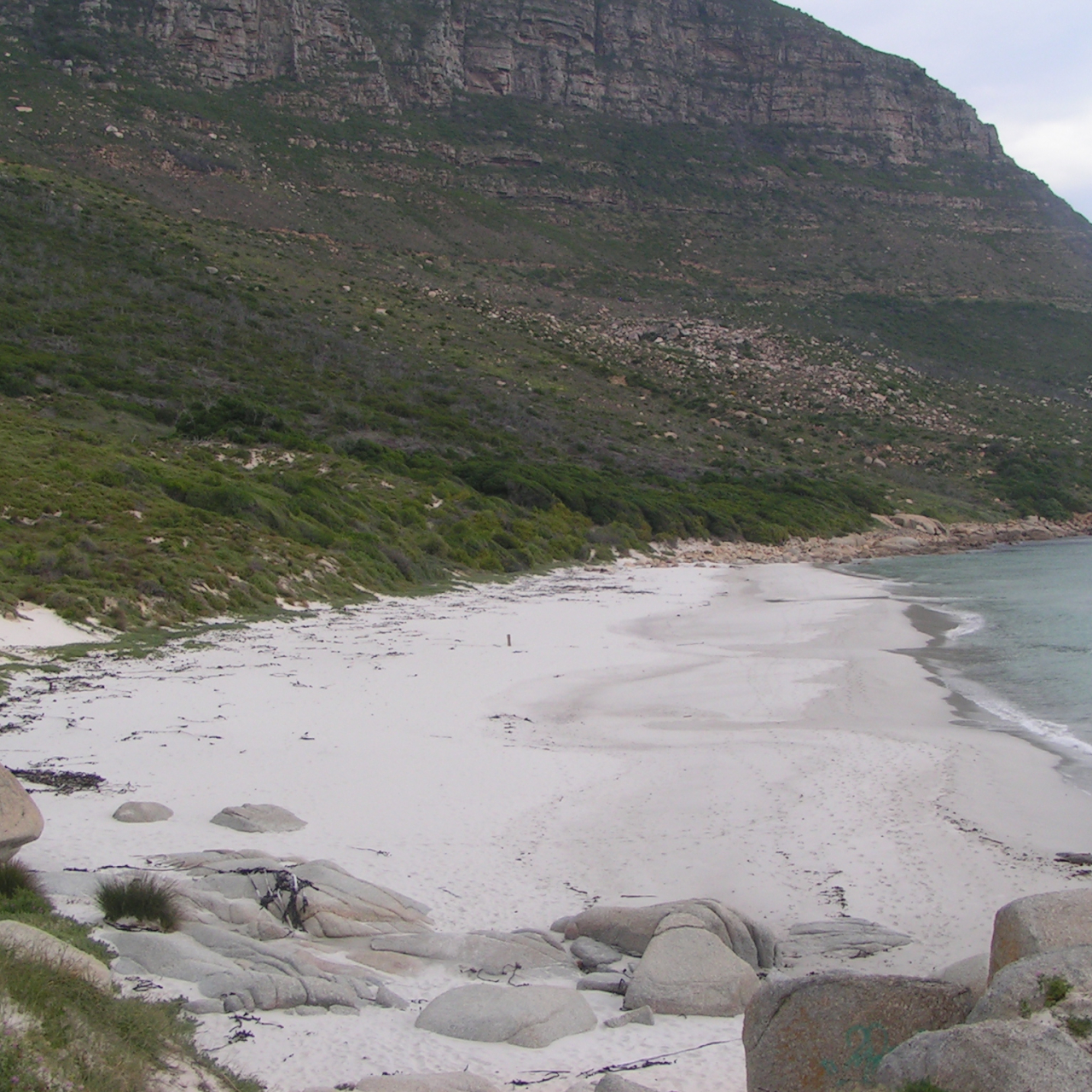 Copy of Sandy bay Piesangboer