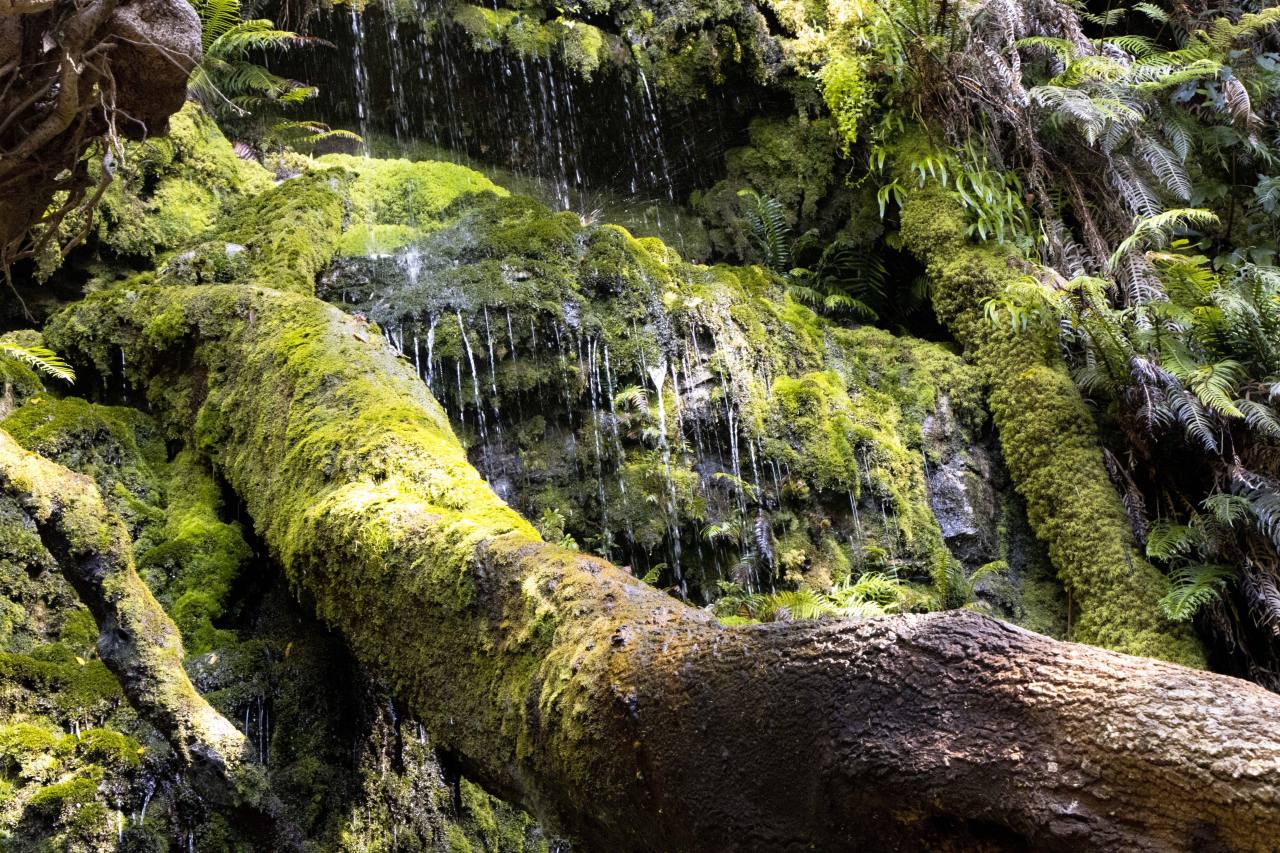 Adobe Stock 565084601