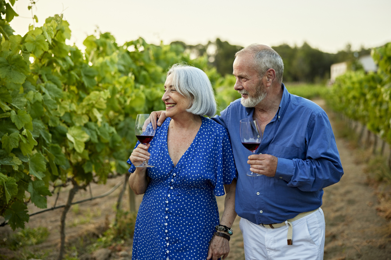 Cape Winelands intimate shot i Stock 1414358339