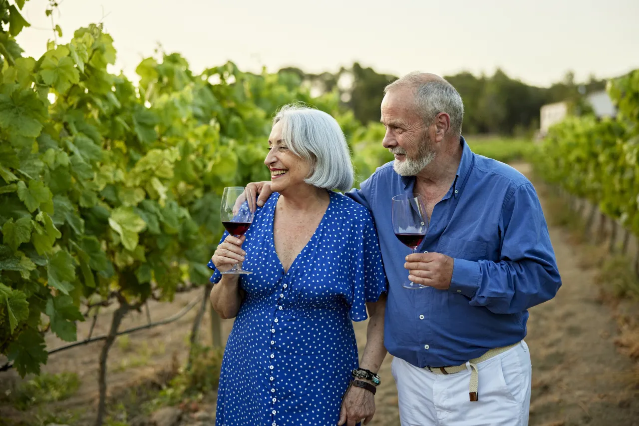 Cape Winelands intimate shot i Stock 1414358339