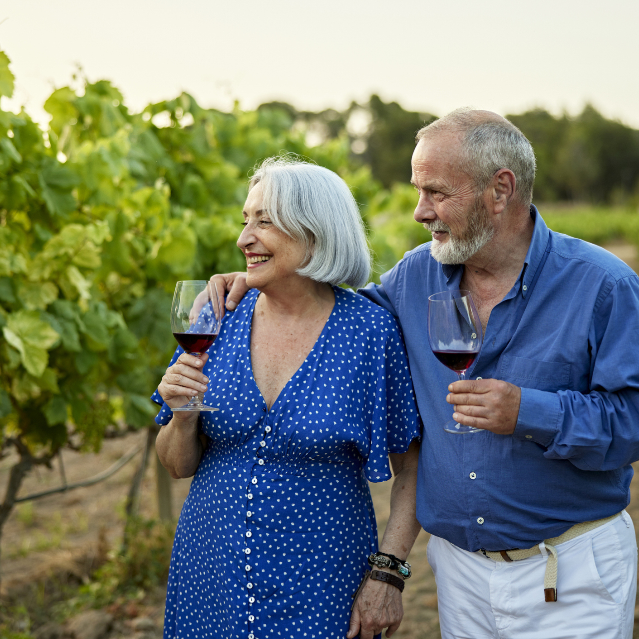 Cape Winelands intimate shot i Stock 1414358339