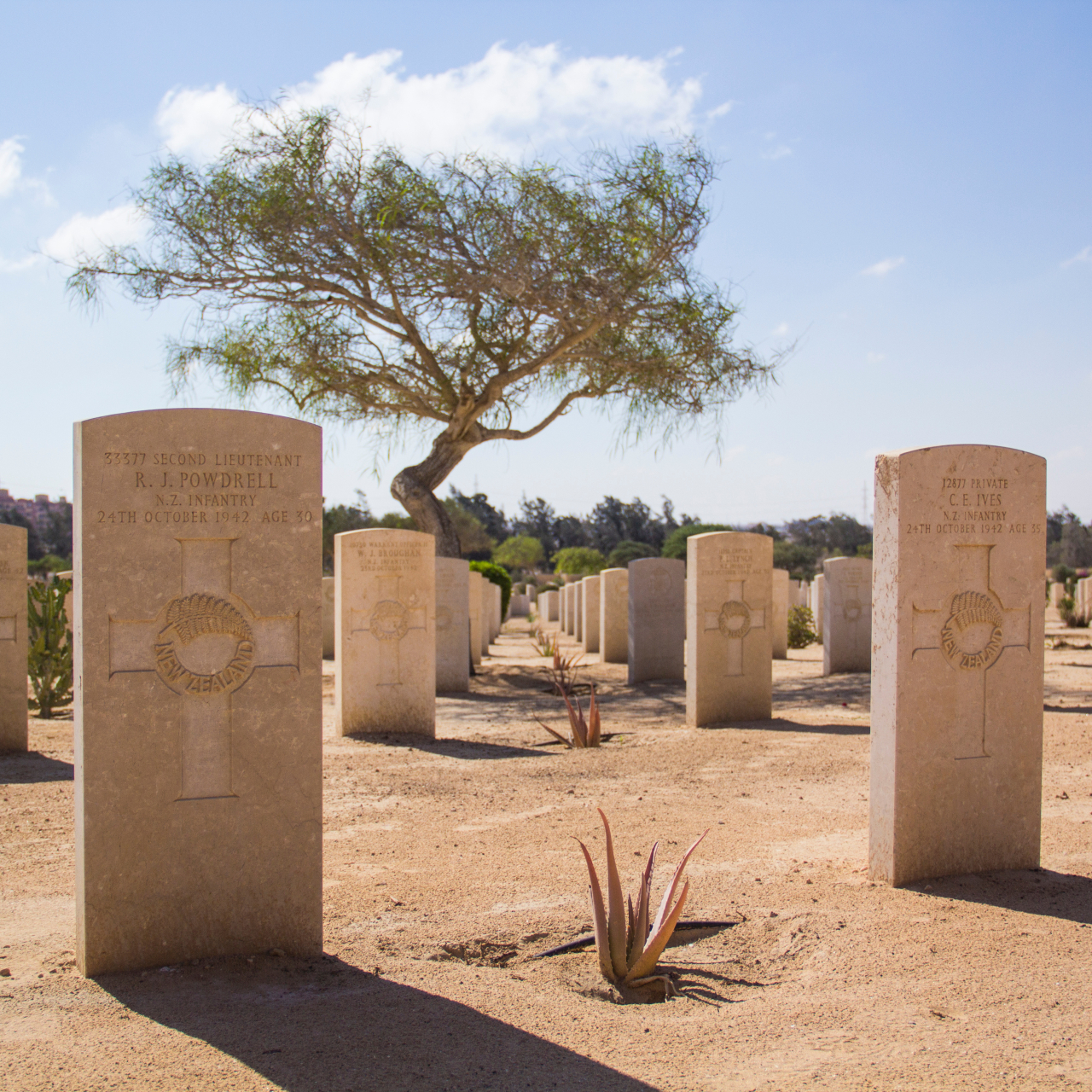 El Alamein marinadatsenko
