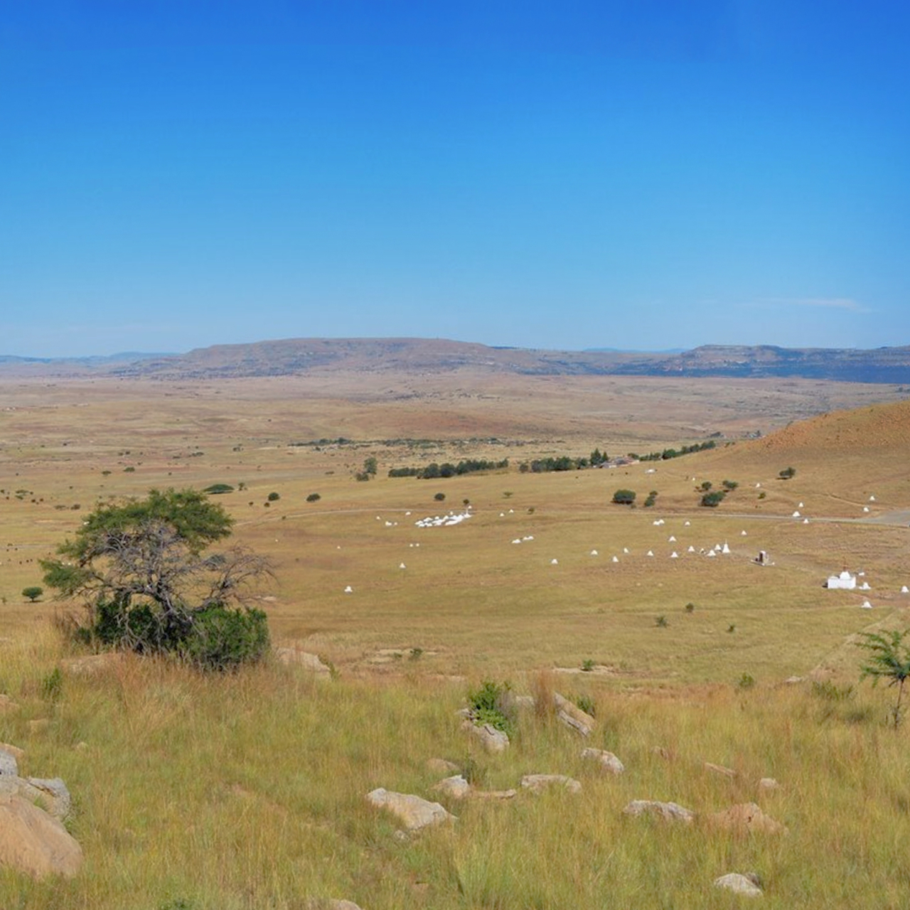 View Of the Isandlwana Battlefield Bizcallers