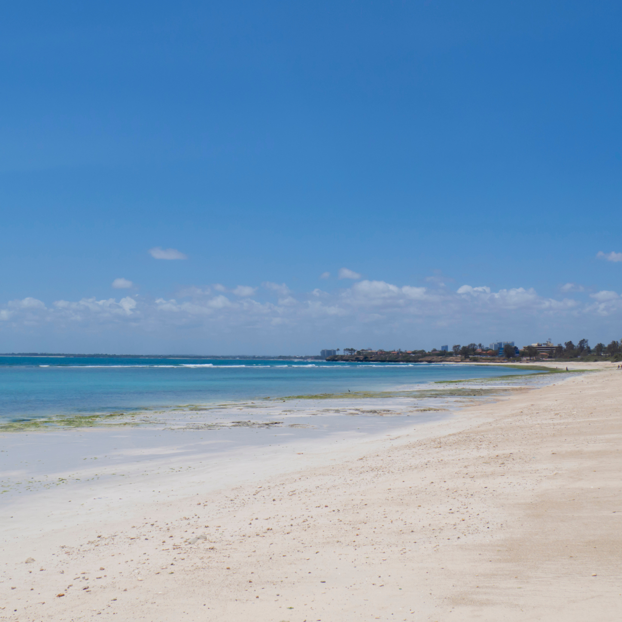 Coco beach