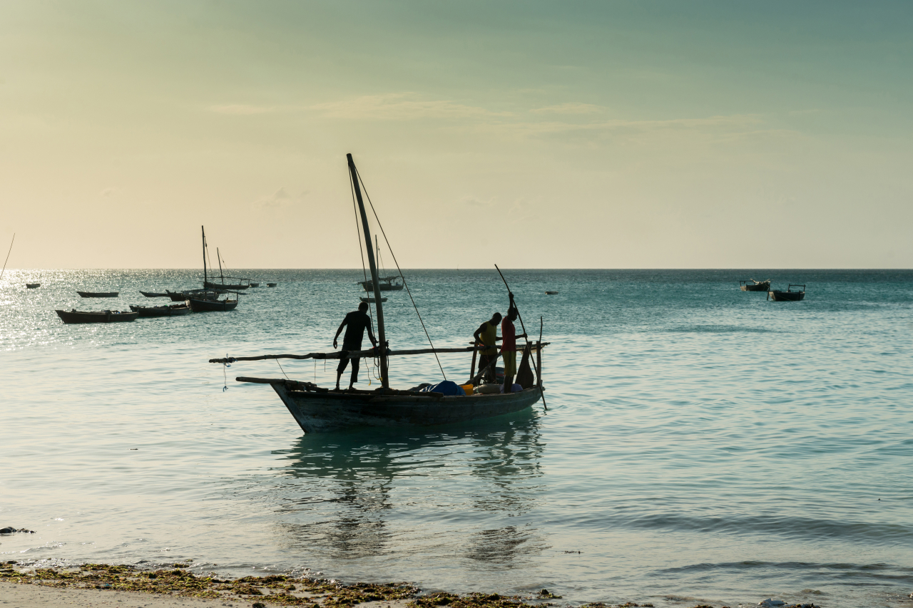 Coco beach boat