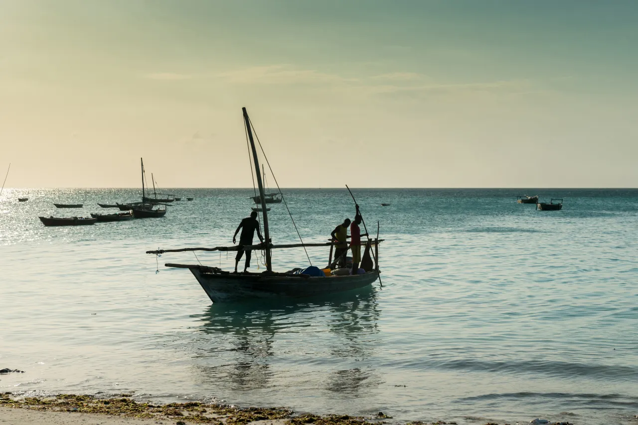 Coco beach boat