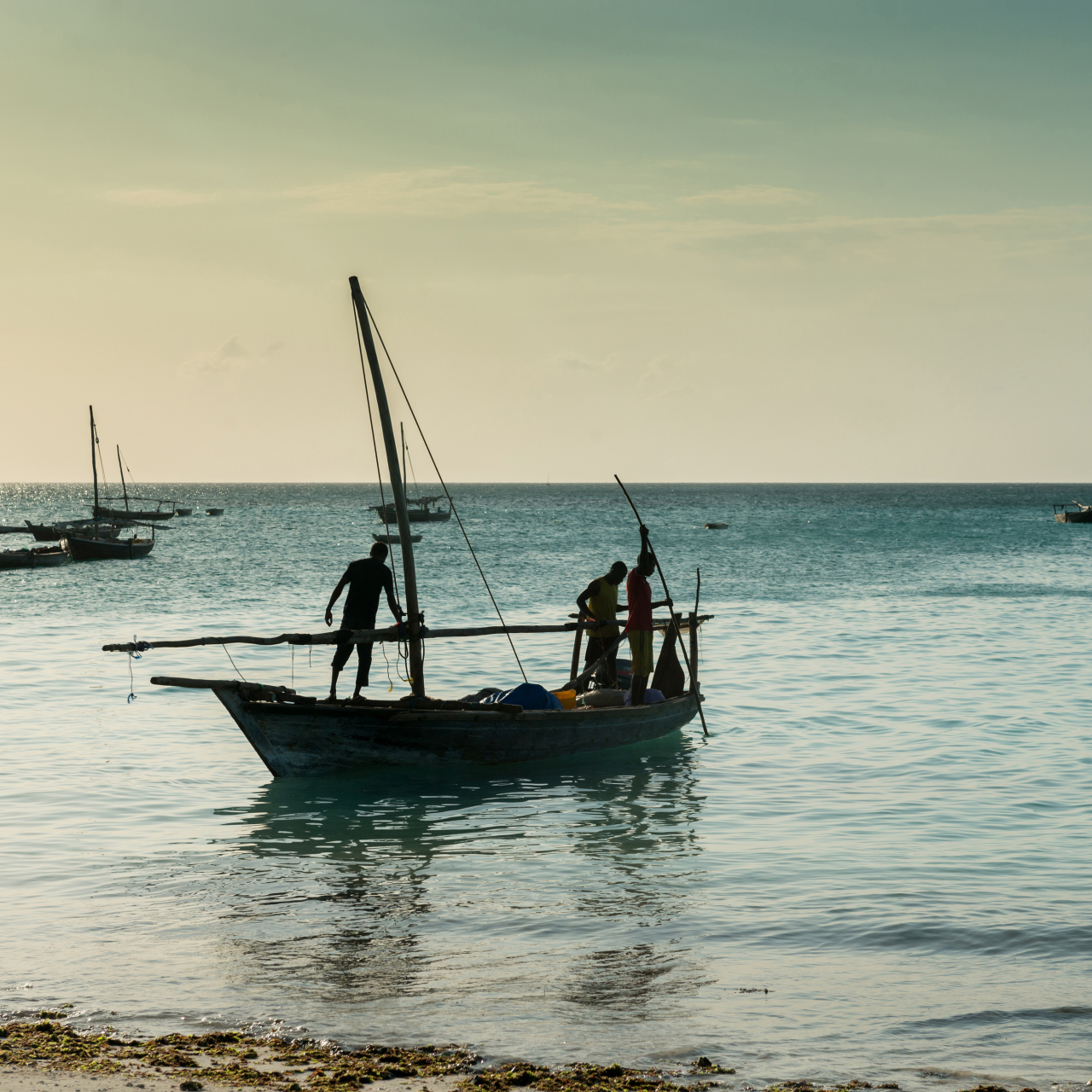 Coco beach boat
