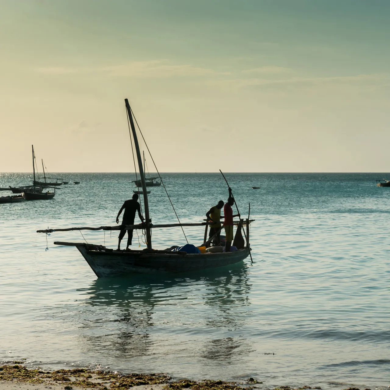 Coco beach boat