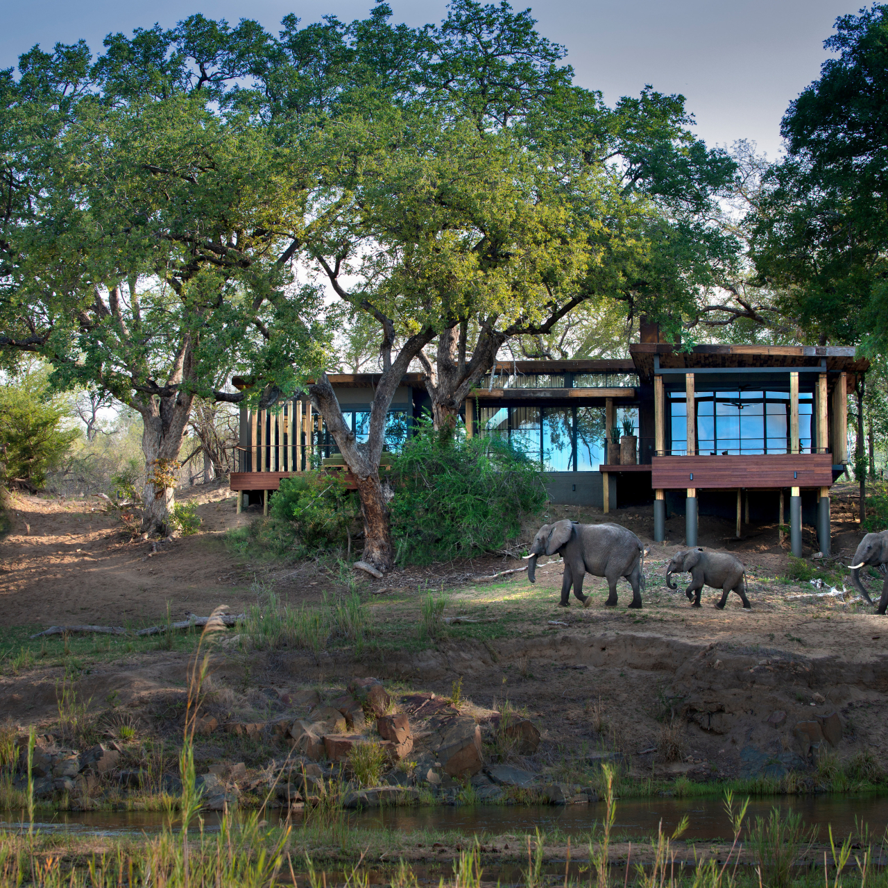 Lodge exterior view at and Beyond Tengile River Lodge 3 High Resolution Width5000px