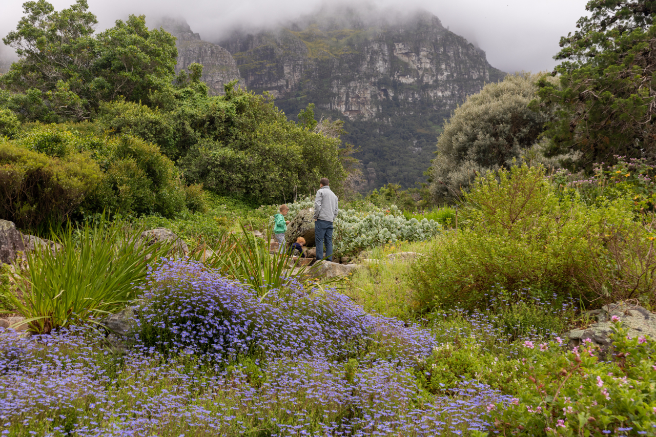 Kirstenbosch James