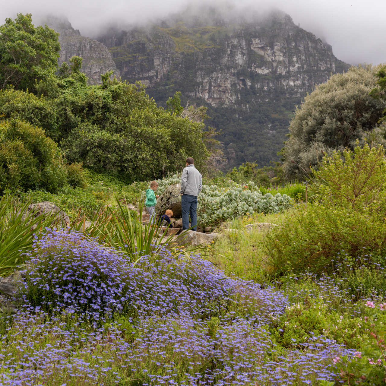 Kirstenbosch James