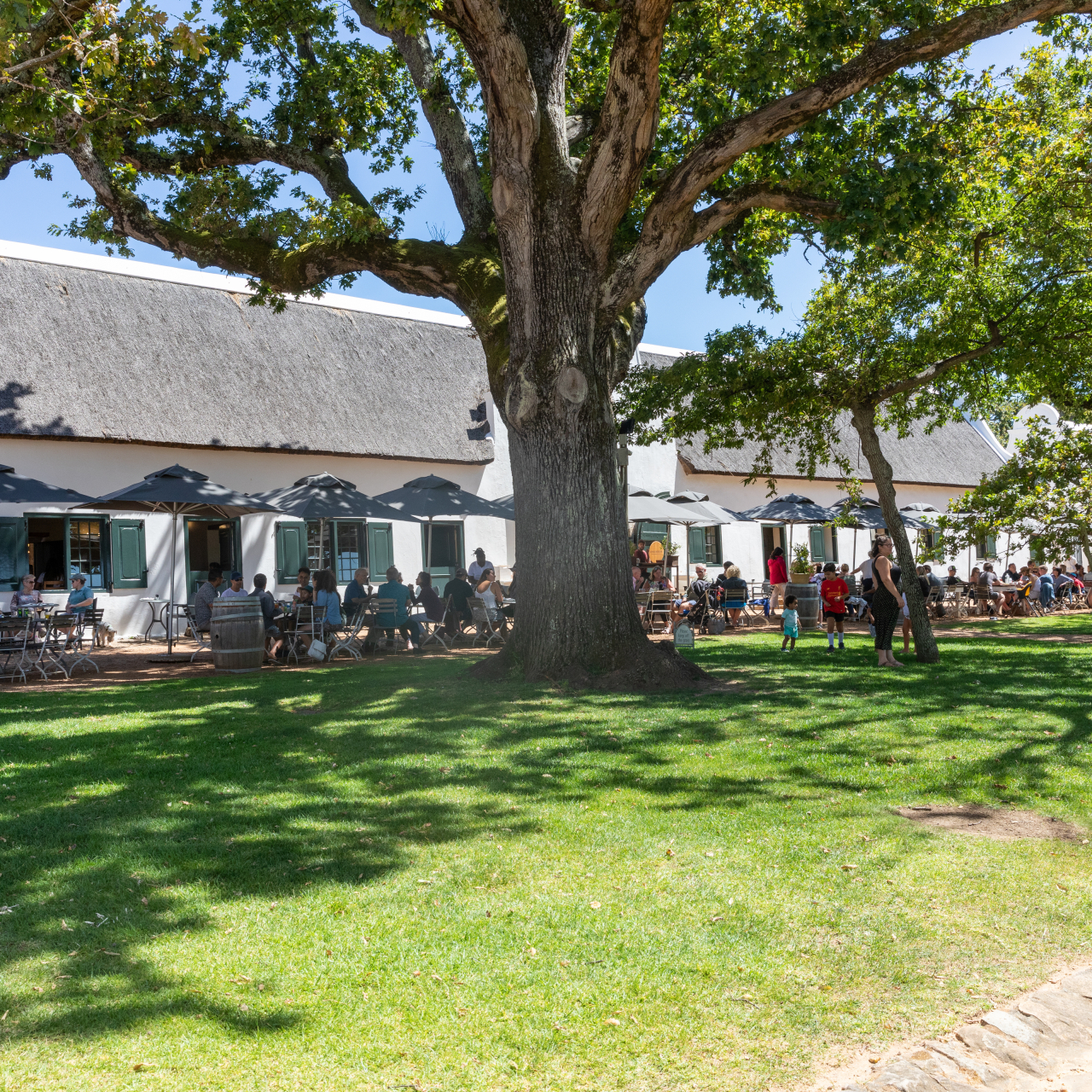 Groot Constantia Bruce