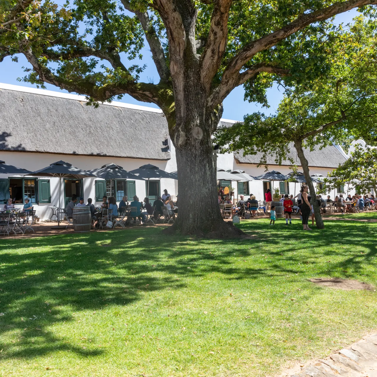 Groot Constantia Bruce