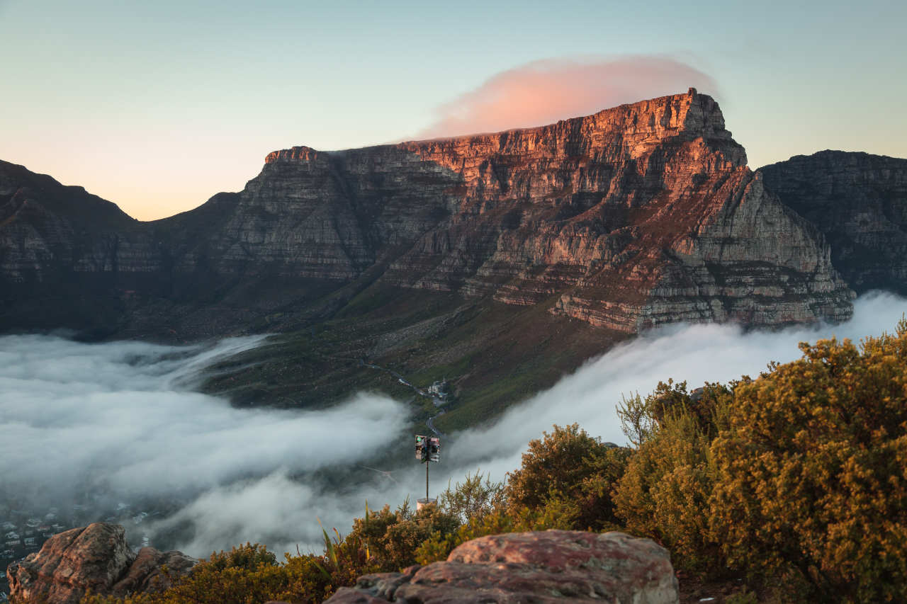 Table Mountain Benjamin