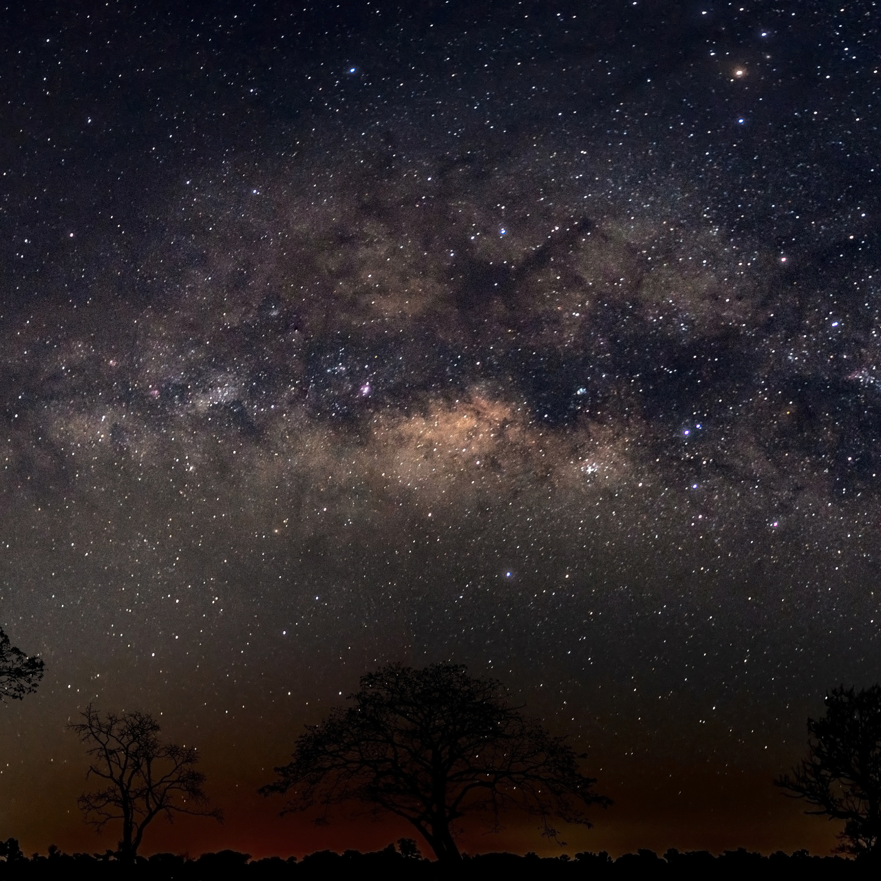 Header 1 stars