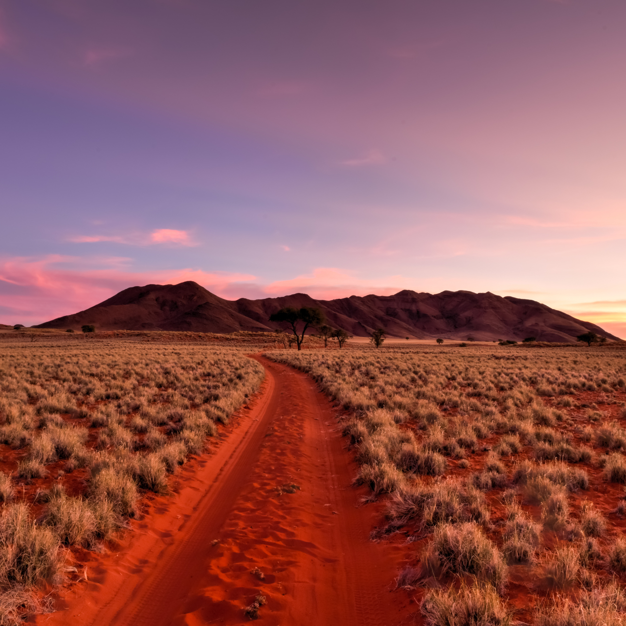 Namib Rand option 1
