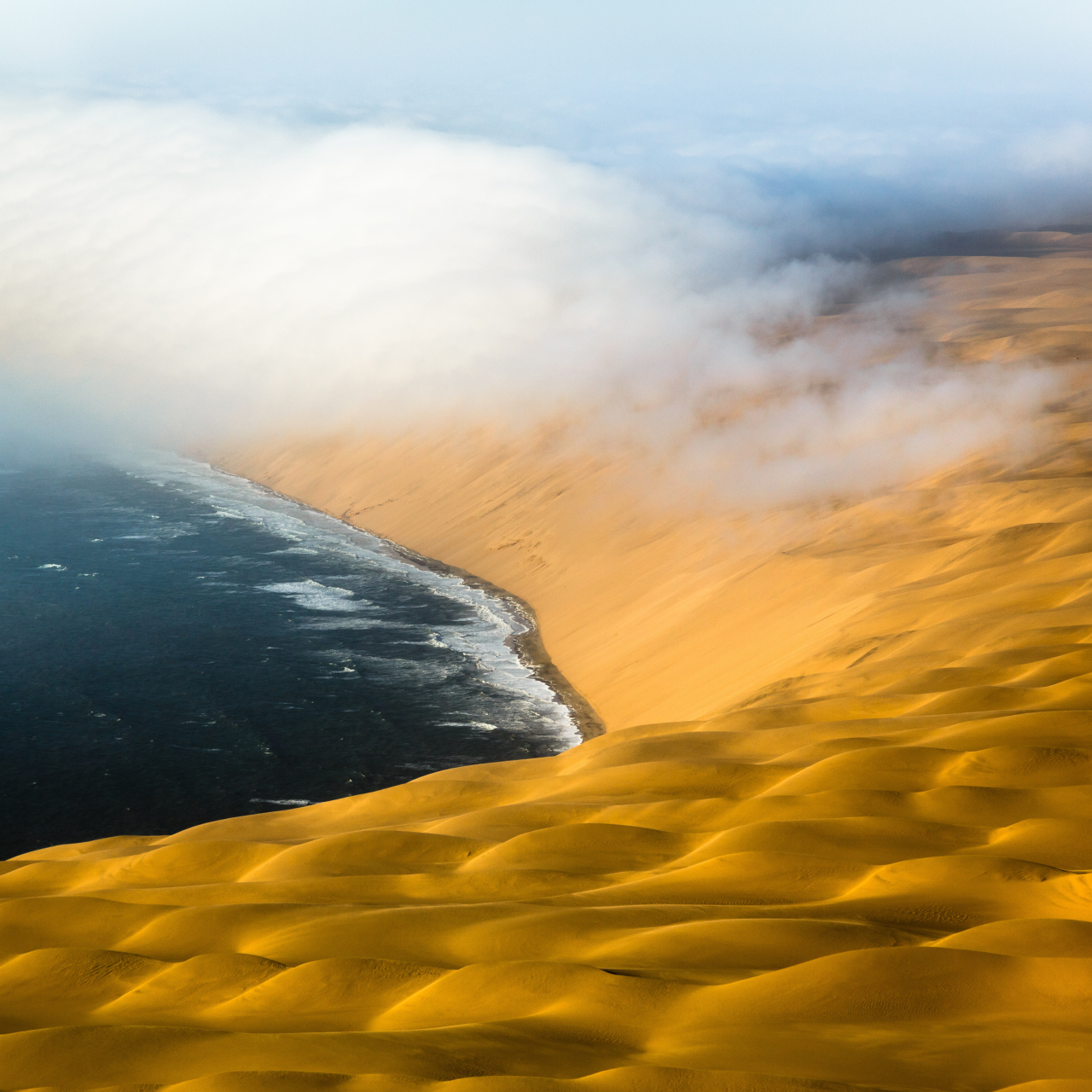 Skeleton coast mist Radek