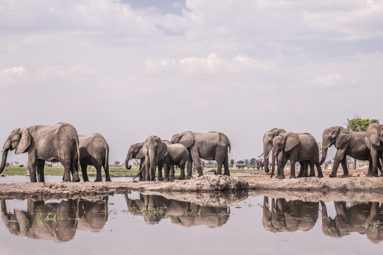 Wilderness Botswana Mokete hide 10 24 FR 10